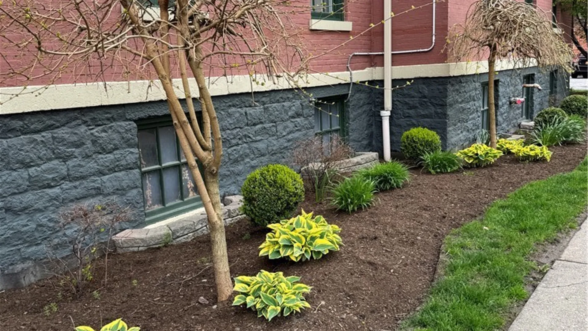 Property at 125 Edward Street, Buffalo, NY 14201 2