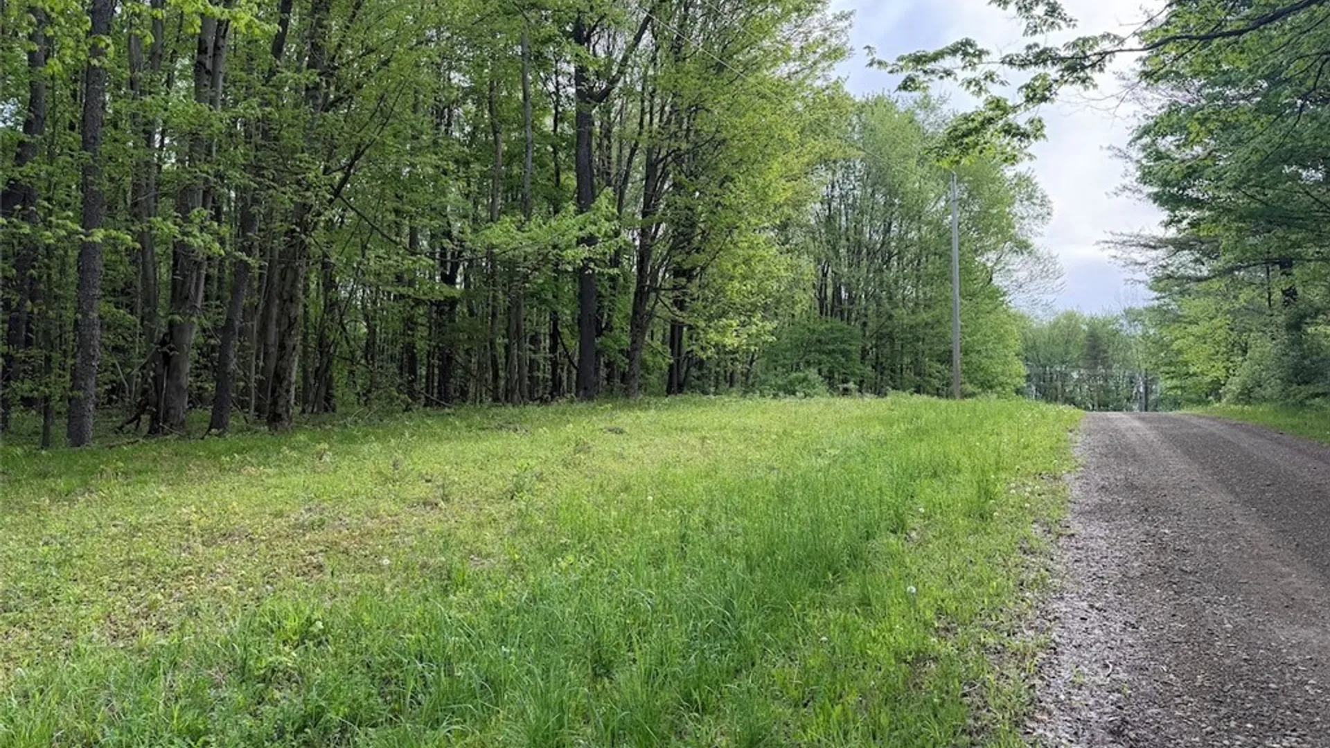 Property at Kellogg Hill Road, Leon, NY 14138 11