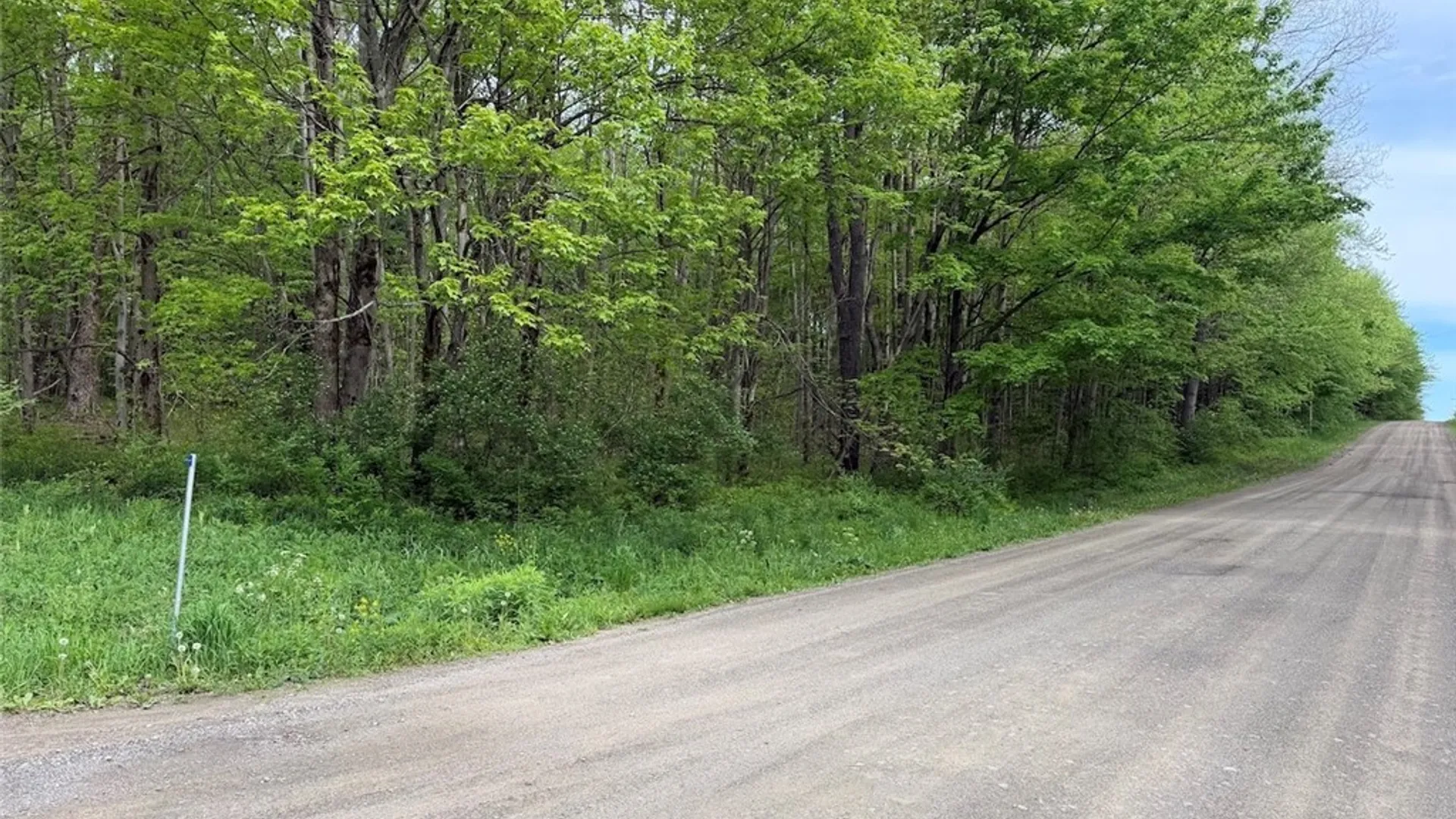 Property at Kellogg Hill Road, Leon, NY 14138 12