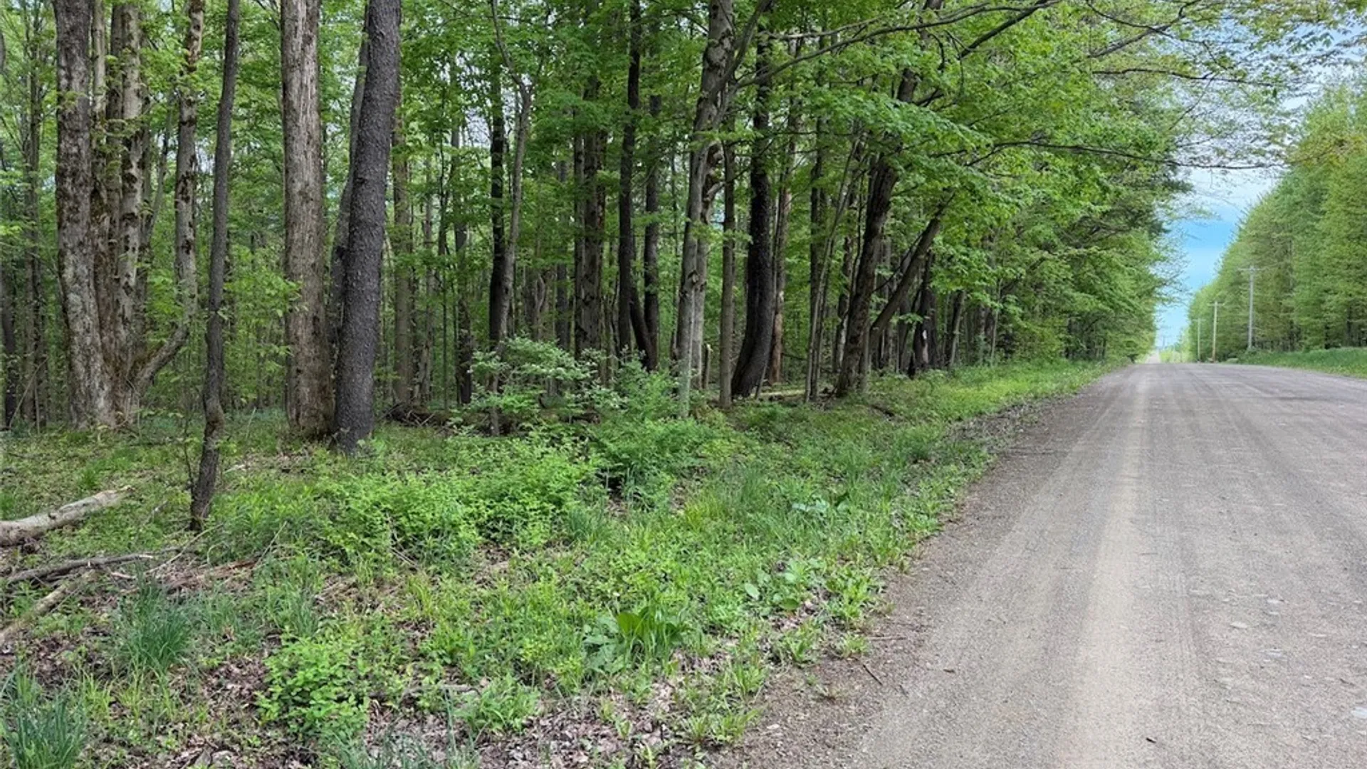Property at Kellogg Hill Road, Leon, NY 14138 13