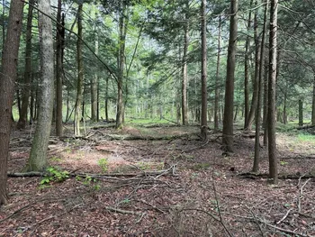 Property at Kellogg Hill Road, Leon, NY 14138