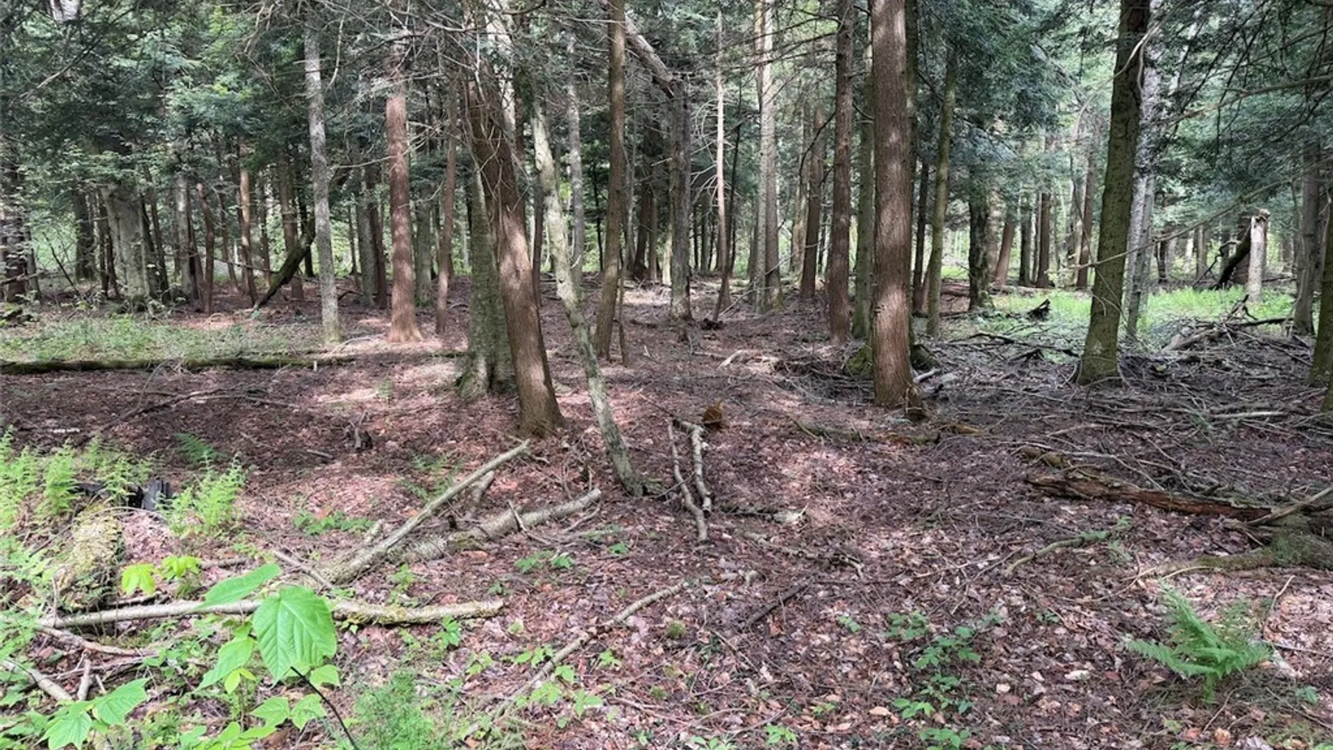 Property at Kellogg Hill Road, Leon, NY 14138 4