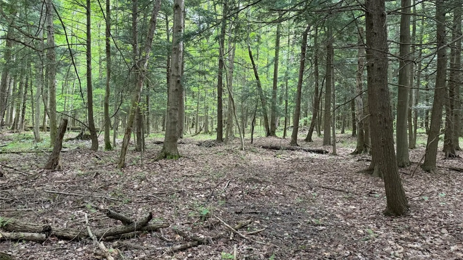 Property at Kellogg Hill Road, Leon, NY 14138 5