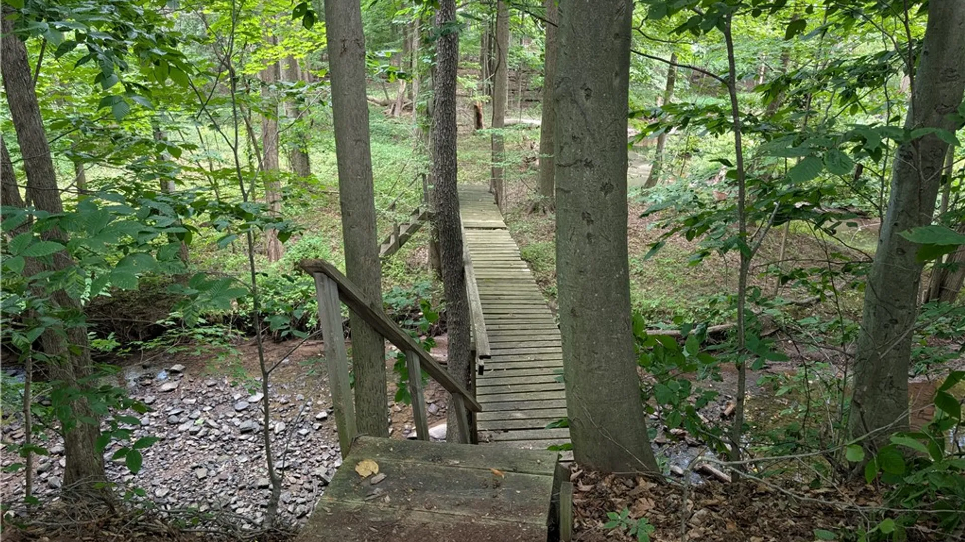 Property at 461 Lawrence Road, Clarkson, NY 14420 10