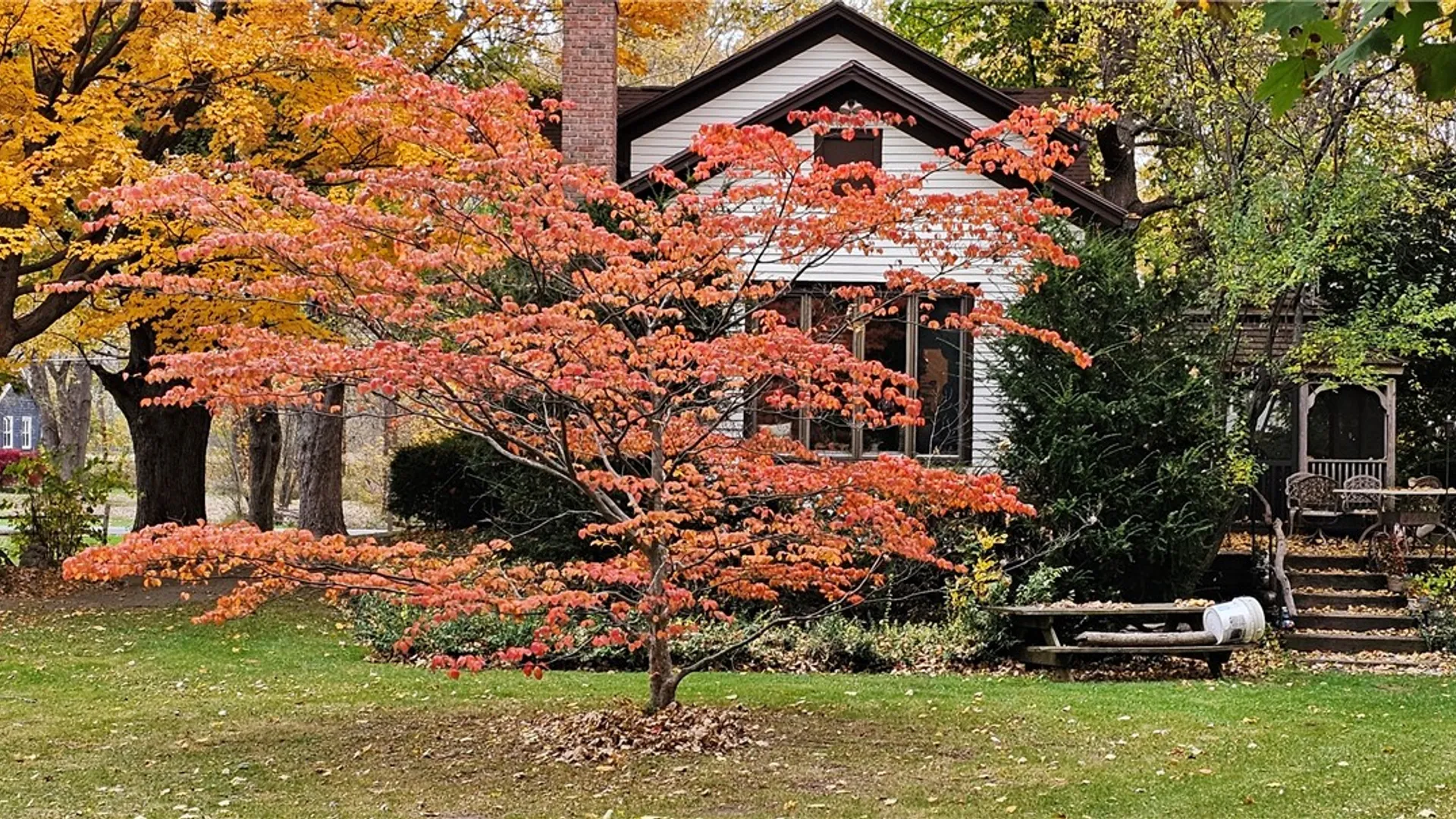 Property at 461 Lawrence Road, Clarkson, NY 14420 6