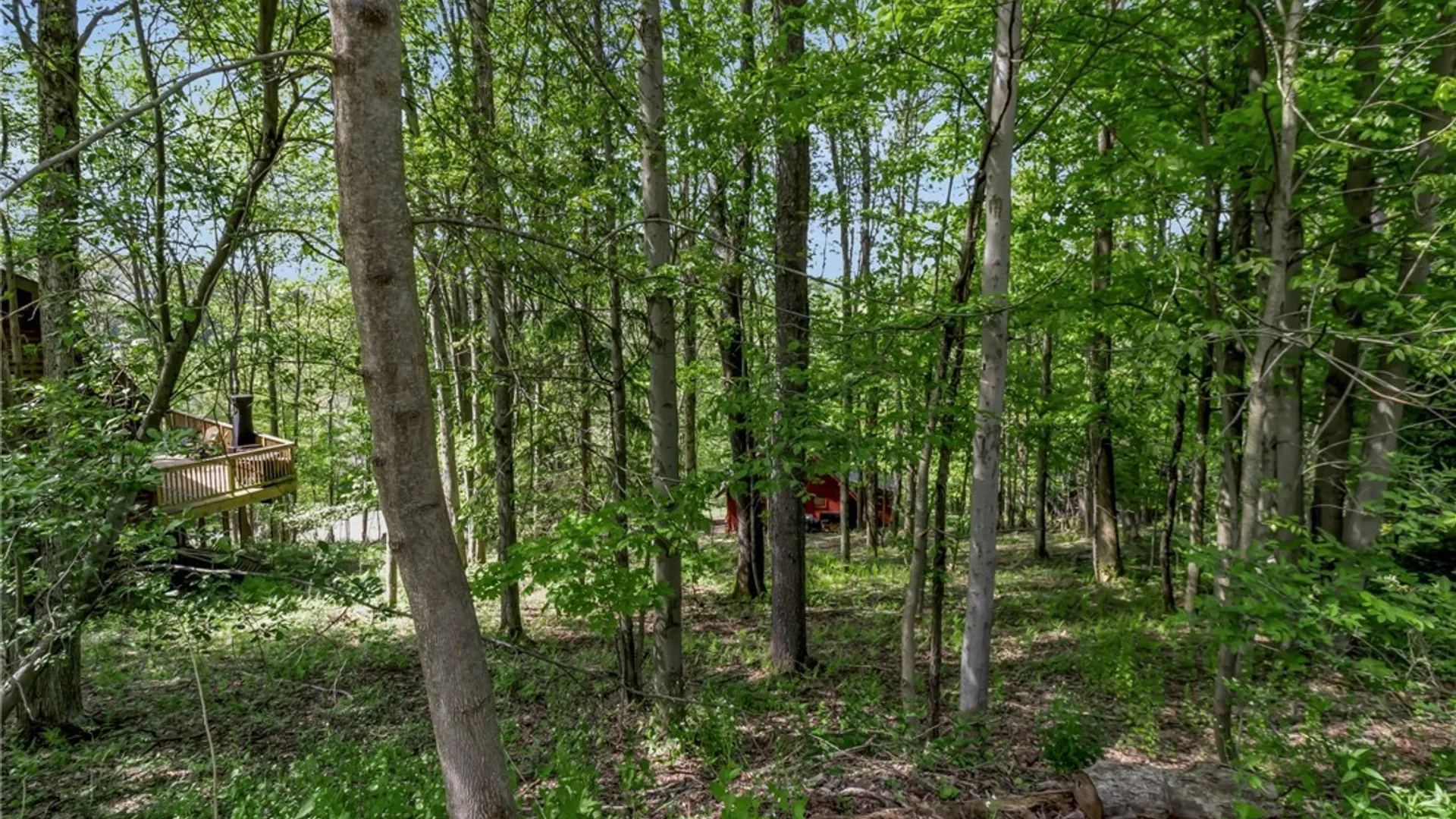 Property at 2-4 Sno Way, Ellicottville, NY 14731 50