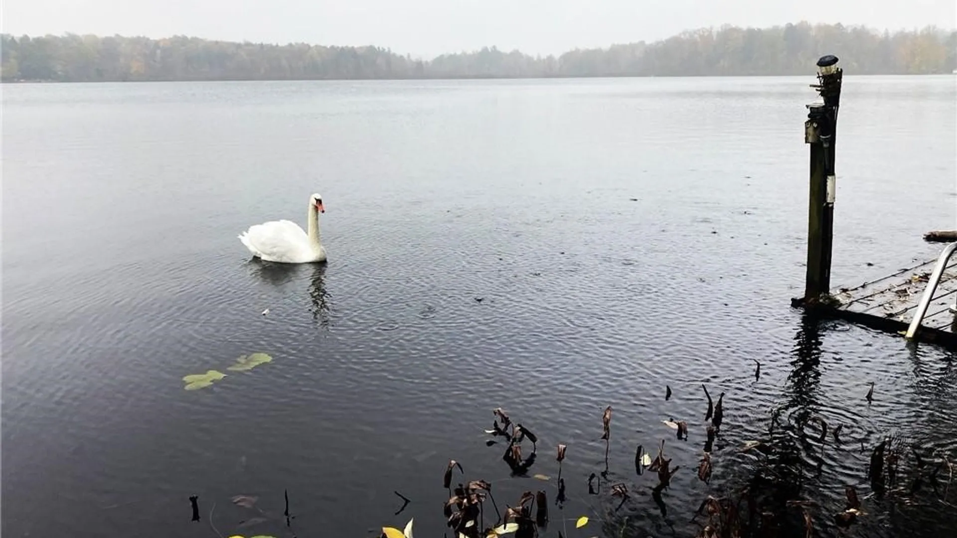 Property at 8216 Glasgow Road On The Lake, Pomfret, NY 14718 17