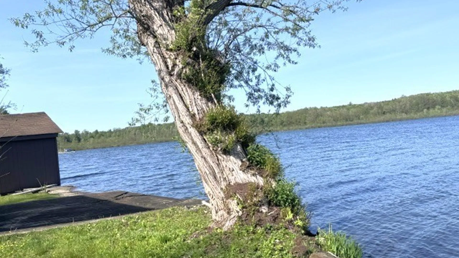 Property at 8216 Glasgow Road On The Lake, Pomfret, NY 14718 2