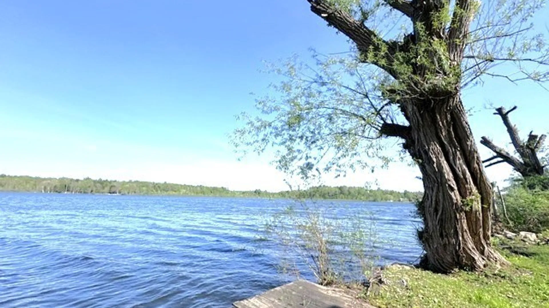 Property at 8216 Glasgow Road On The Lake, Pomfret, NY 14718 4