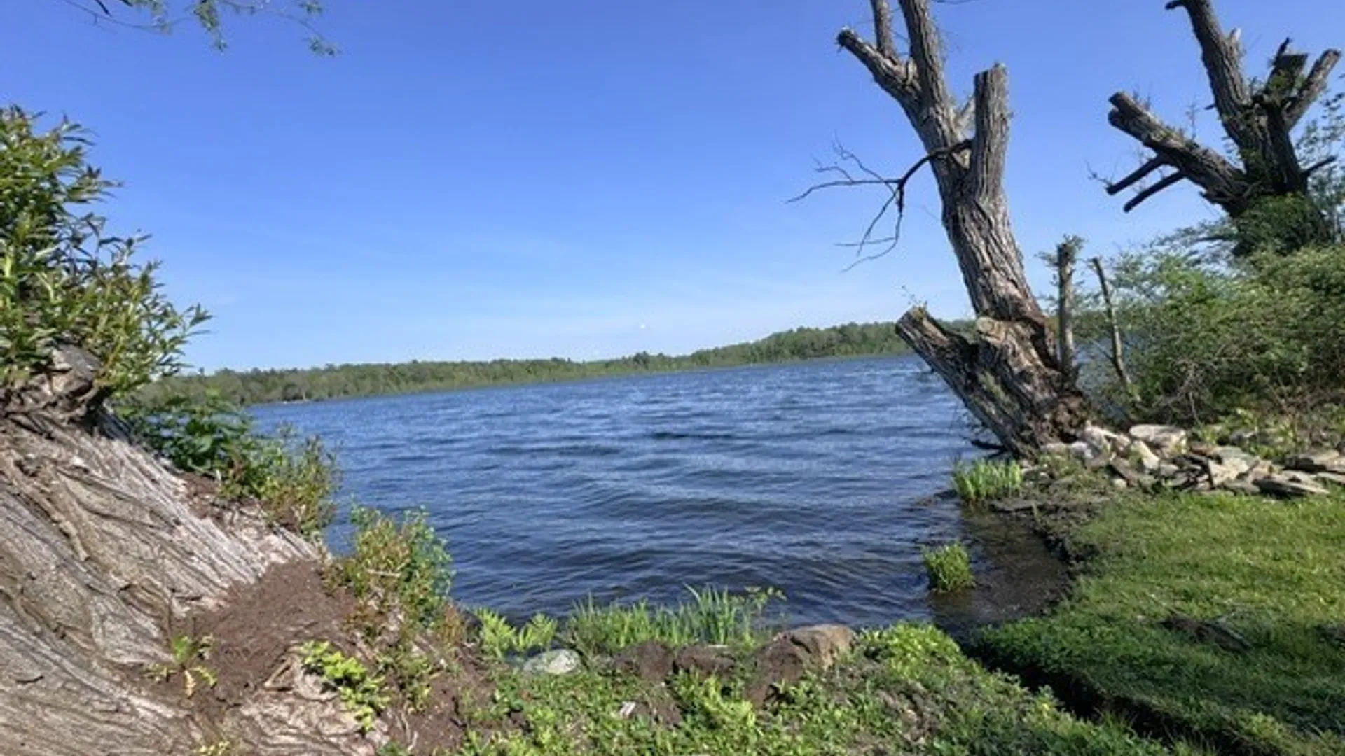 Property at 8216 Glasgow Road On The Lake, Pomfret, NY 14718 5