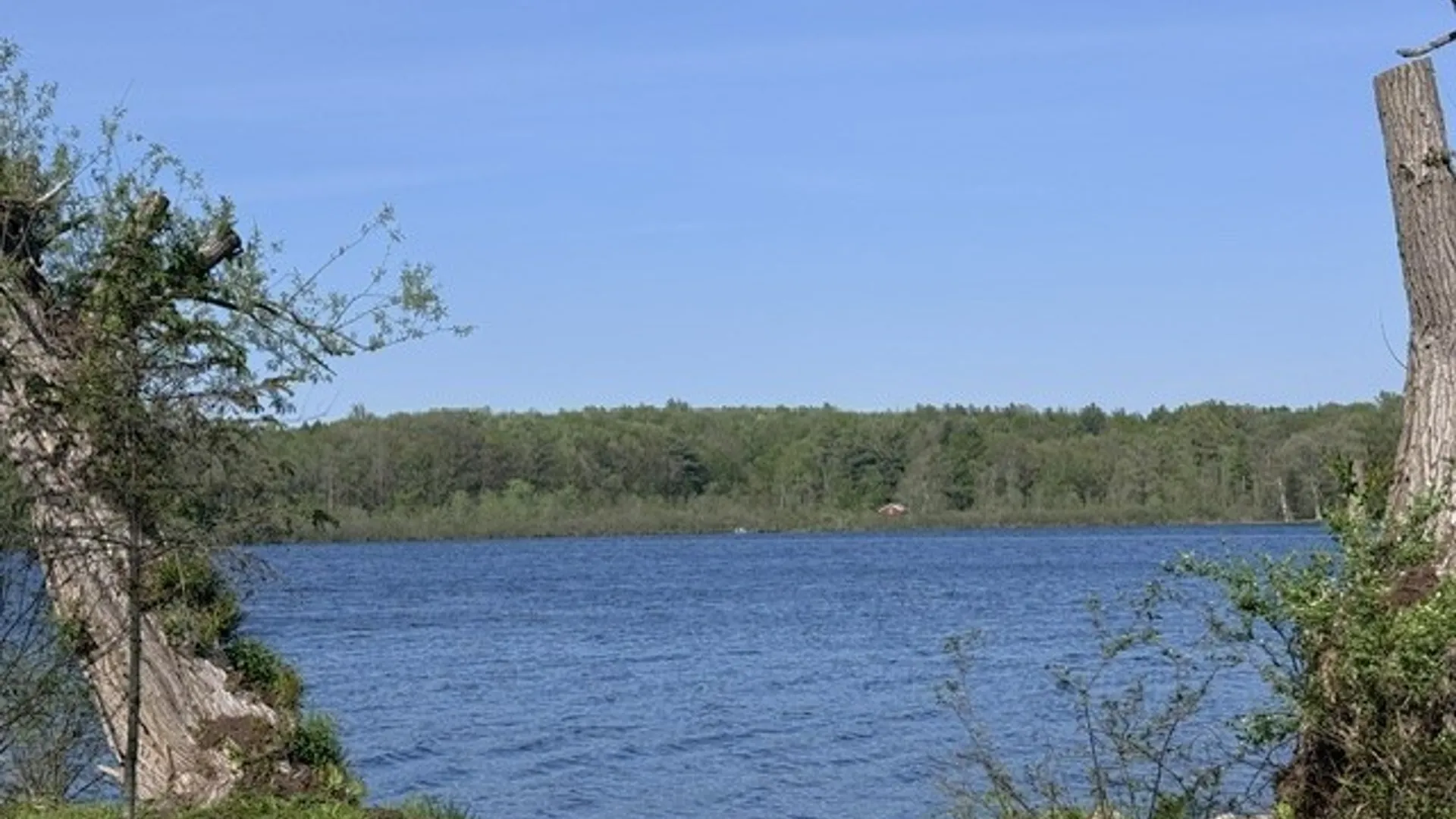 Property at 8216 Glasgow Road On The Lake, Pomfret, NY 14718 6