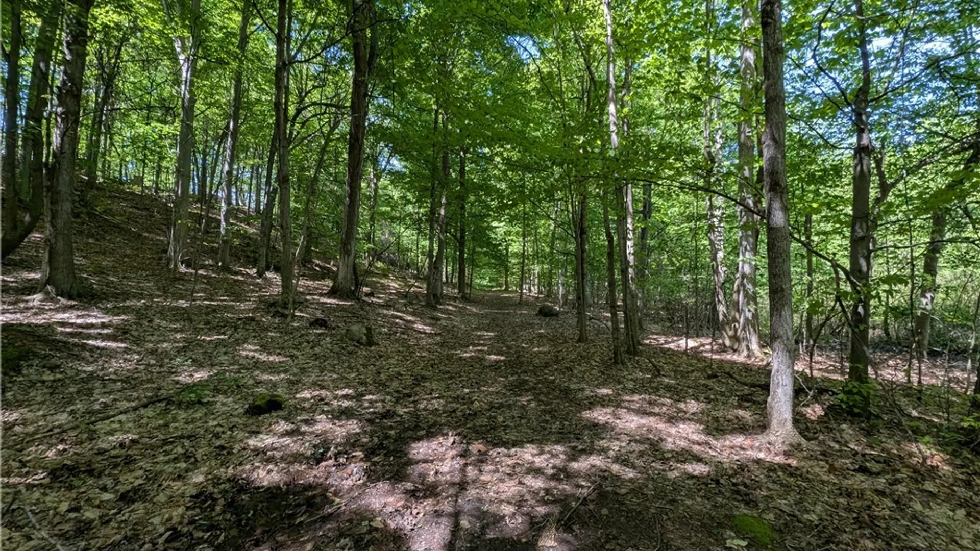 Property at 540 Shumway Road, Sweden, NY 14420 47
