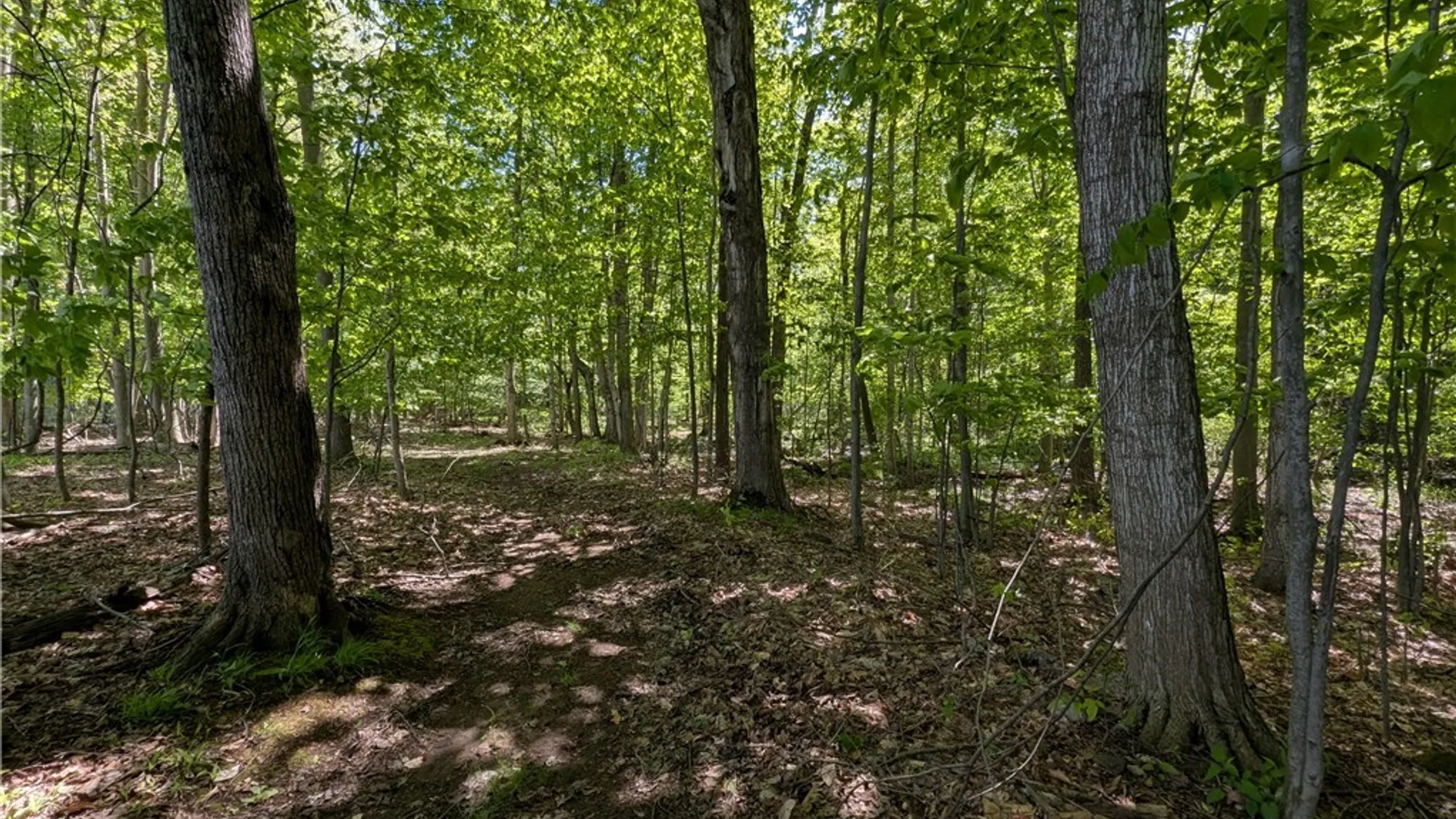 Property at 540 Shumway Road, Sweden, NY 14420 48