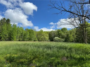 Property at 1104 Downey Road, Otego, NY 13825