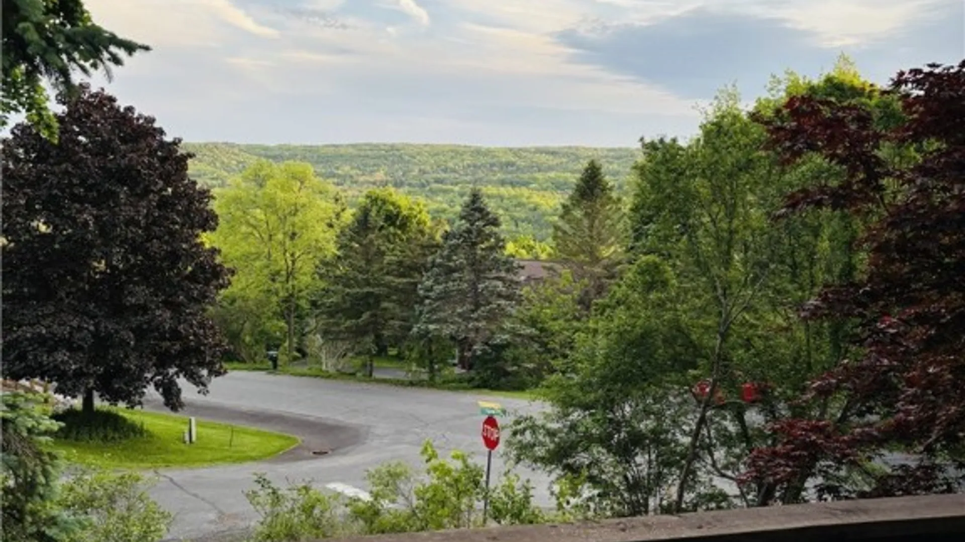 Property at 118 Park Lane, Ithaca Town, NY 14850 10