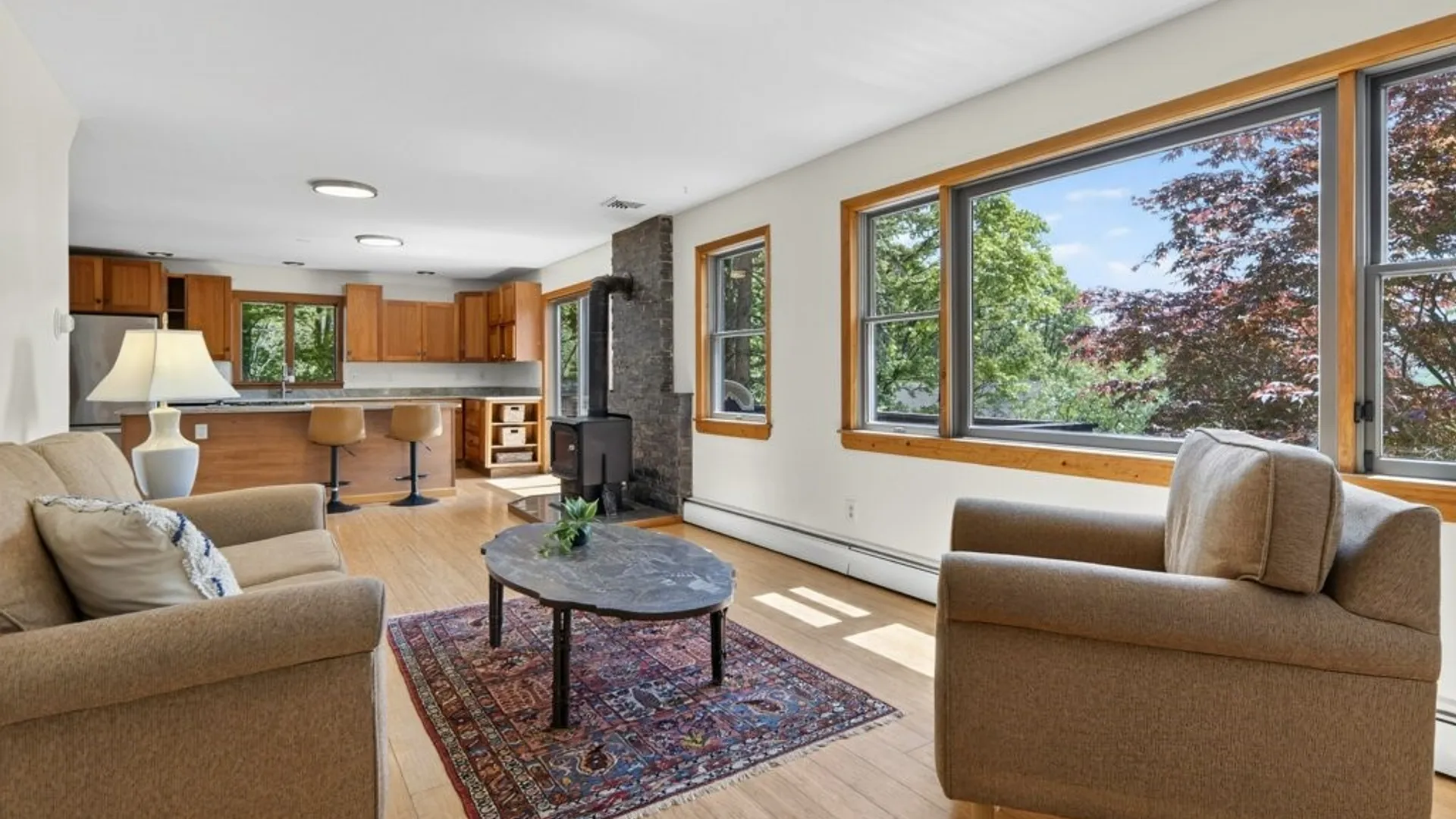 Property at 118 Park Lane, Ithaca Town, NY 14850 26