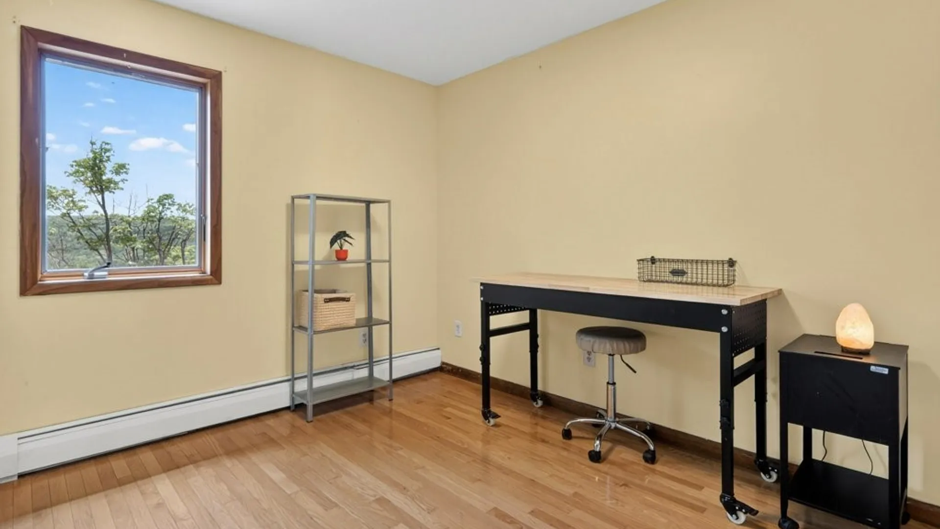 Property at 118 Park Lane, Ithaca Town, NY 14850 41