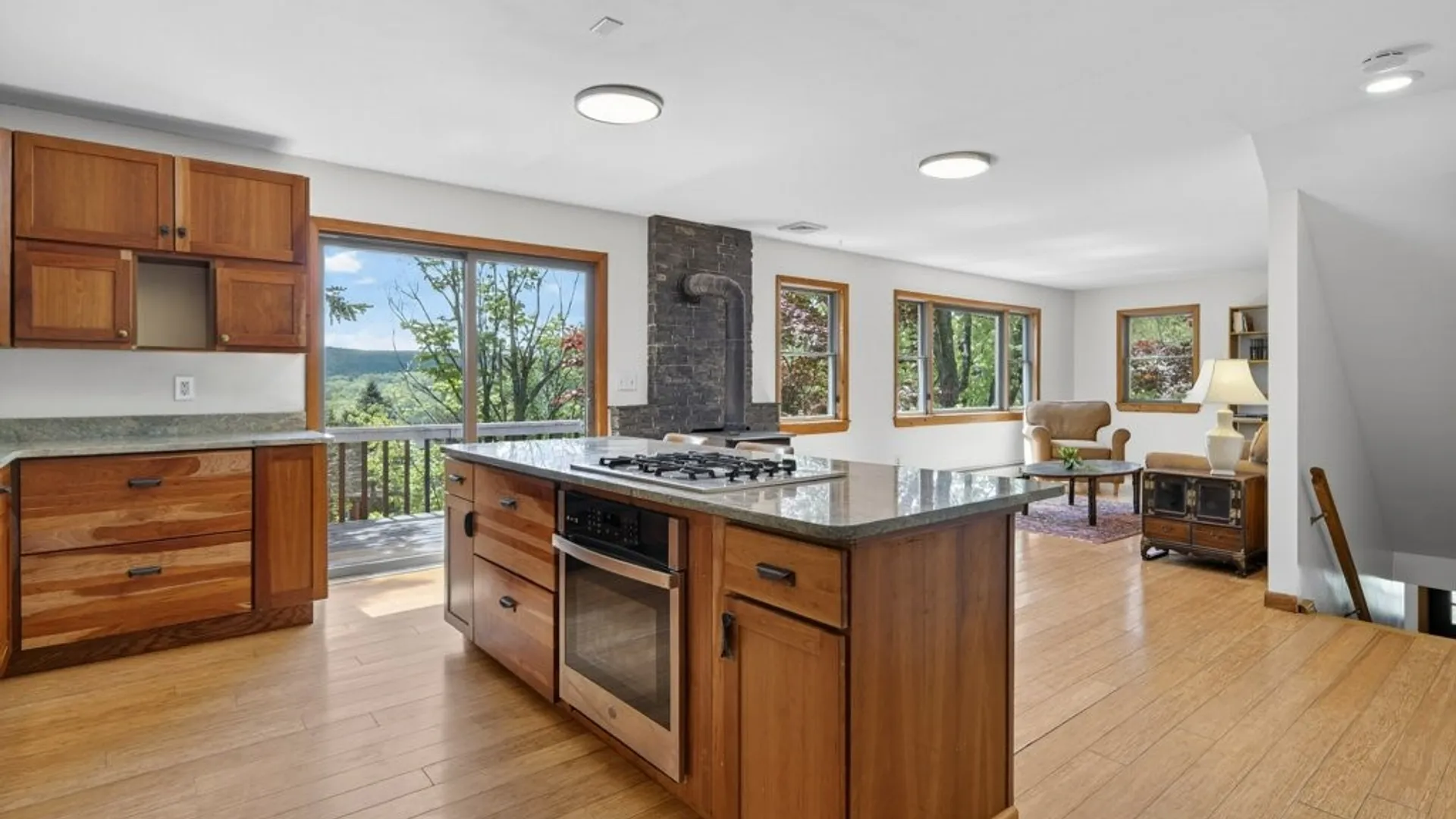 Property at 118 Park Lane, Ithaca Town, NY 14850 8