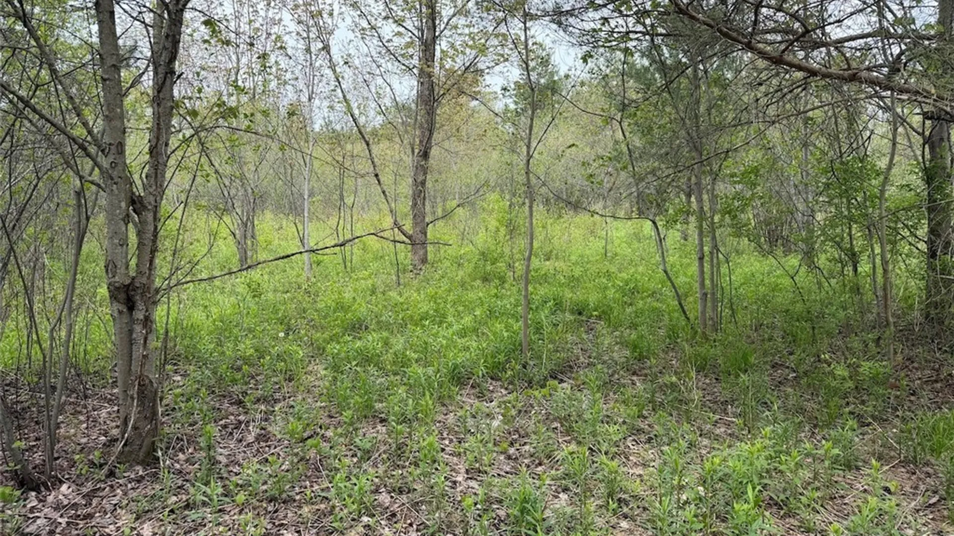 Property at Reynolds Road, Franklinville, NY 14737 15