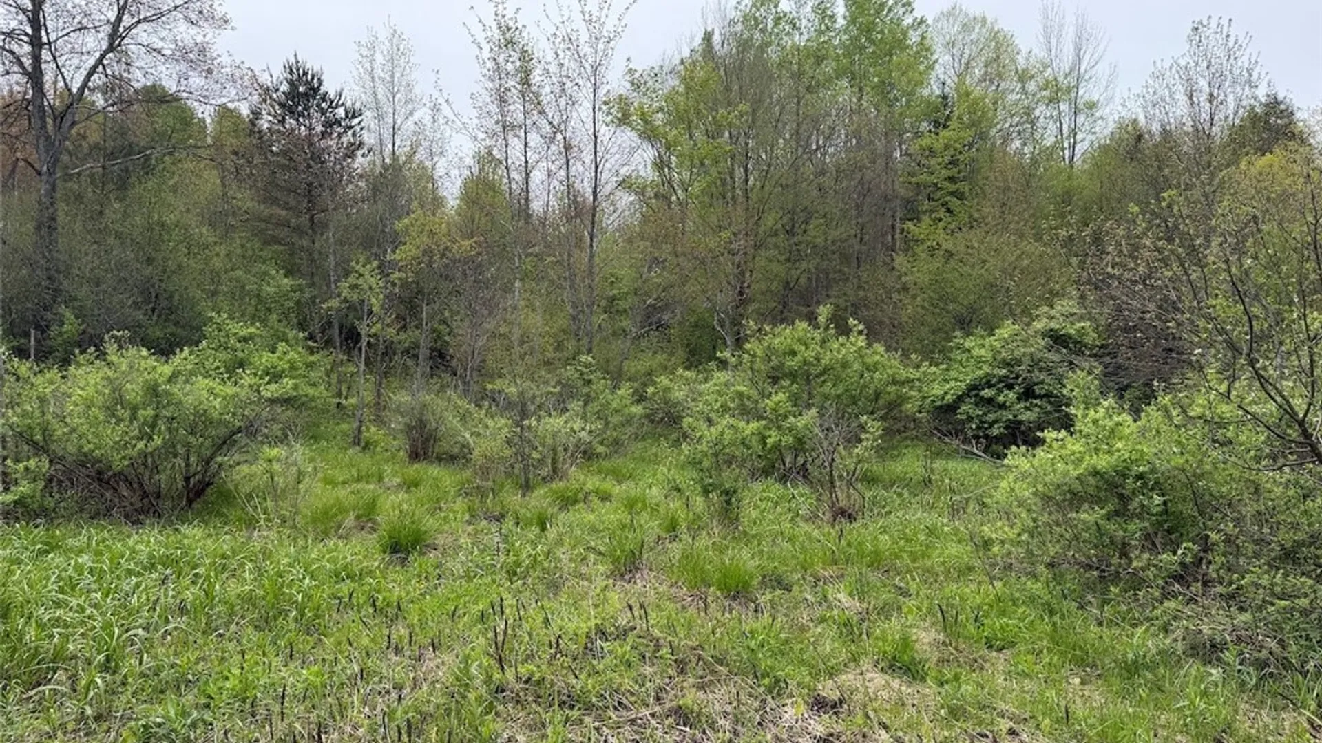 Property at Reynolds Road, Franklinville, NY 14737 18