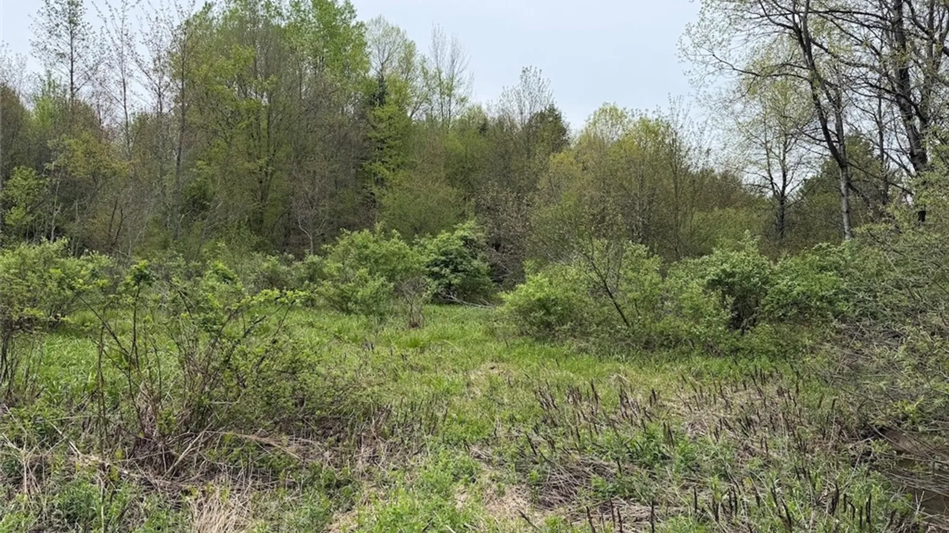 Property at Reynolds Road, Franklinville, NY 14737 20