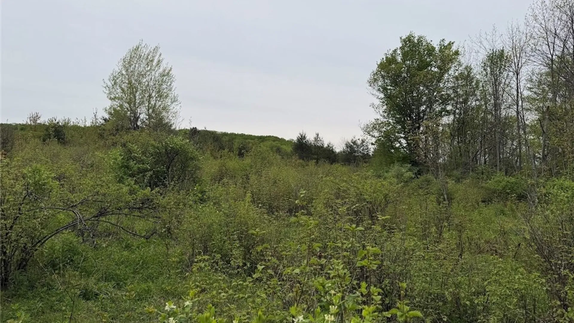 Property at Reynolds Road, Franklinville, NY 14737 24