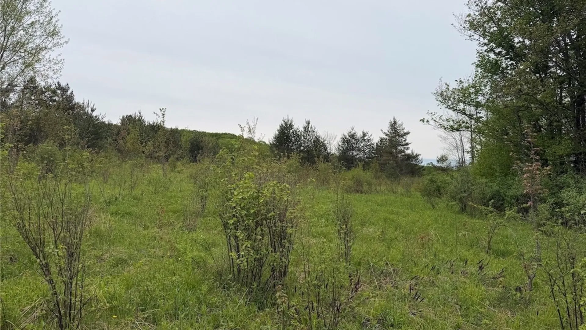 Property at Reynolds Road, Franklinville, NY 14737 25