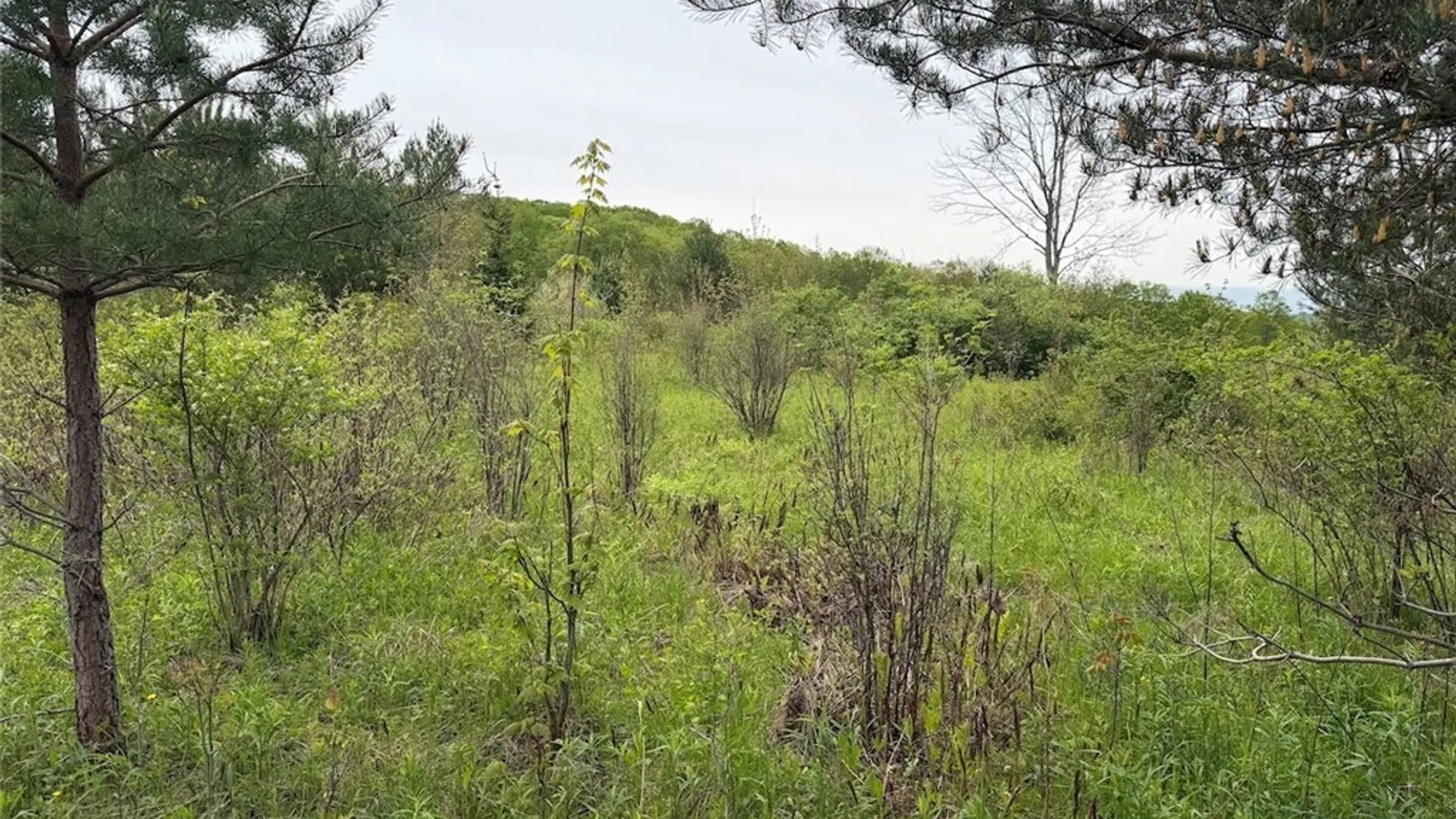 Property at Reynolds Road, Franklinville, NY 14737 27