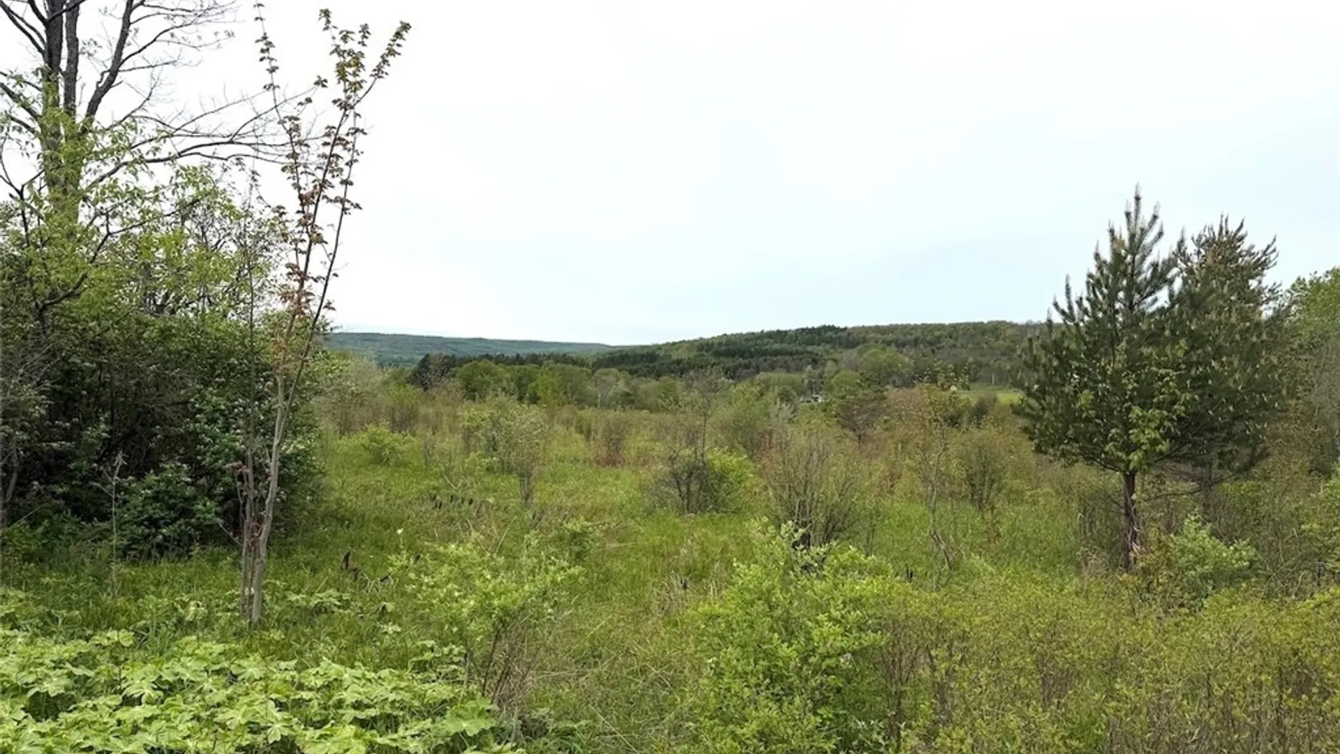 Property at Reynolds Road, Franklinville, NY 14737 28