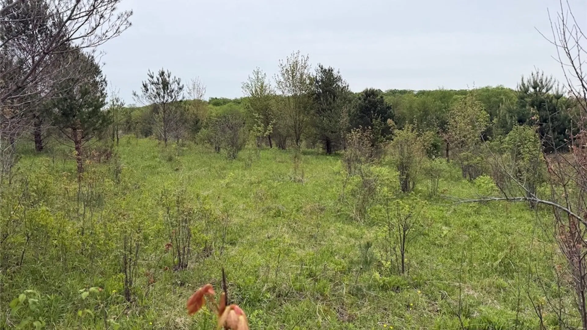 Property at Reynolds Road, Franklinville, NY 14737 29