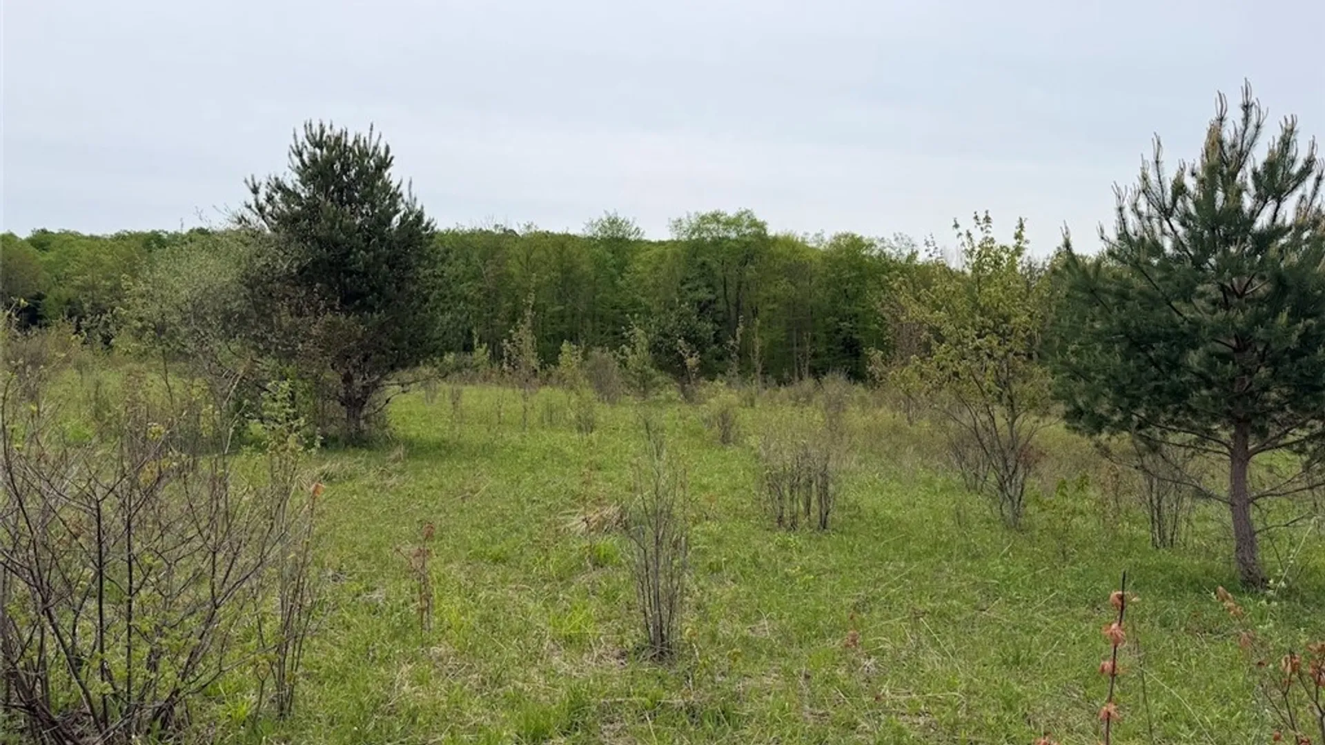 Property at Reynolds Road, Franklinville, NY 14737 31