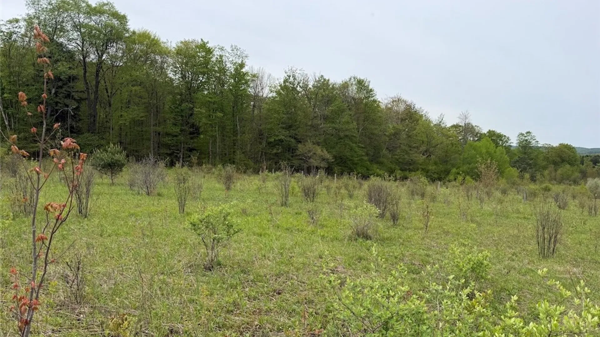 Property at Reynolds Road, Franklinville, NY 14737 33