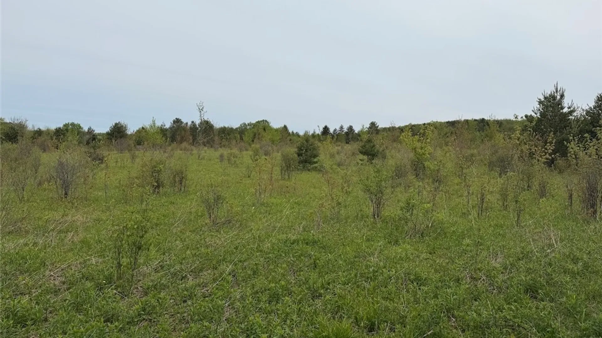 Property at Reynolds Road, Franklinville, NY 14737 35