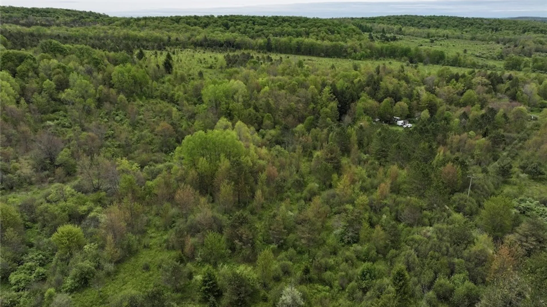 Property at Reynolds Road, Franklinville, NY 14737 6