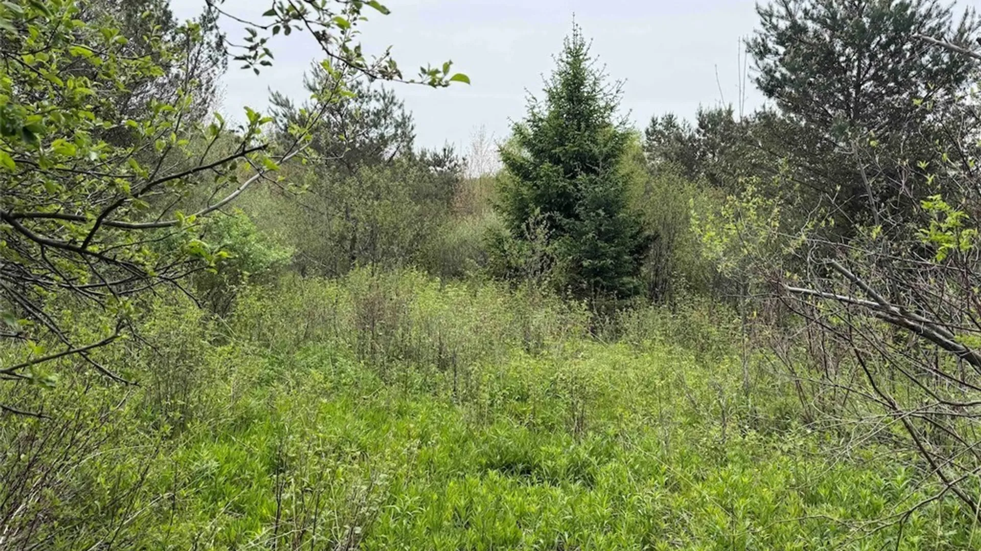 Property at Reynolds Road, Franklinville, NY 14737 7