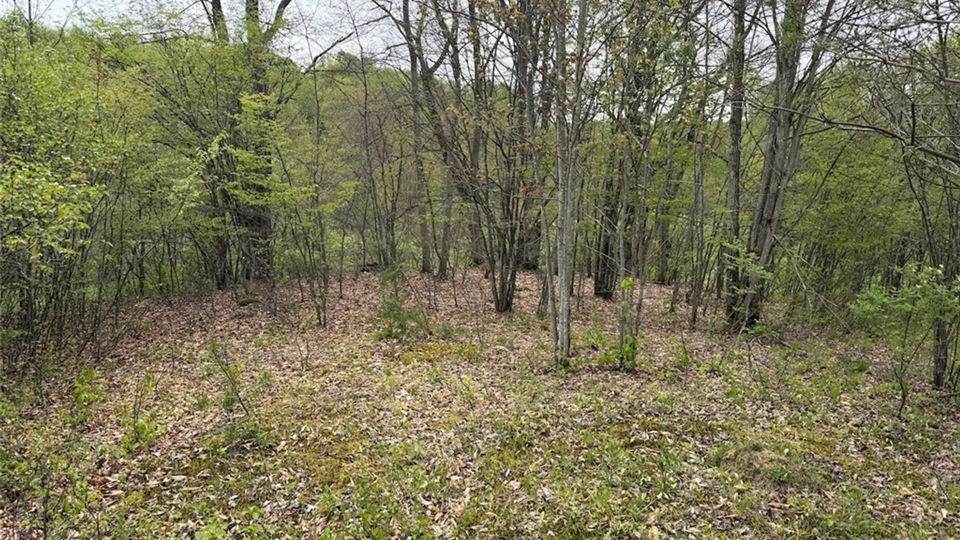 Property at Reynolds Road, Franklinville, NY 14737 9