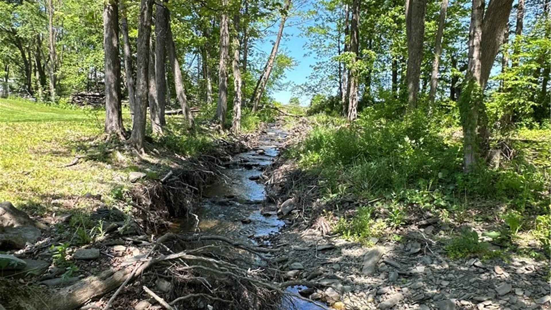 Property at 1568 State Highway 51, Butternuts, NY 13776 7