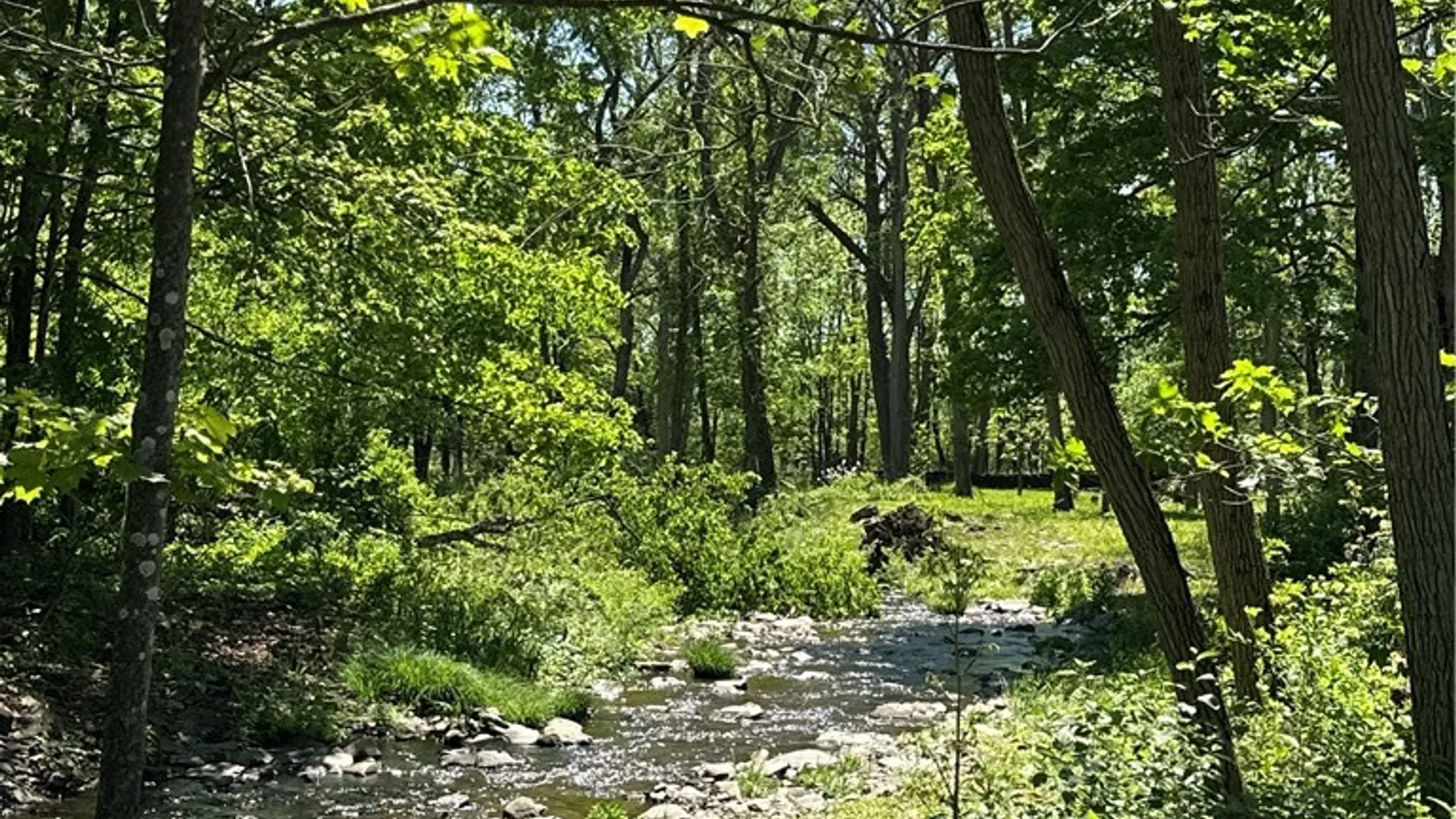 Property at 1568 State Highway 51, Butternuts, NY 13776 8