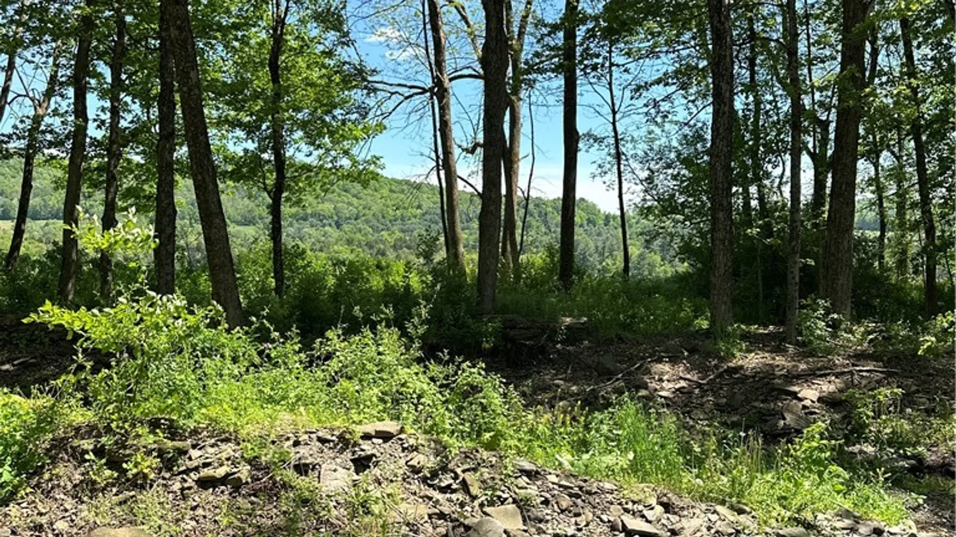 Property at 1568 State Highway 51, Butternuts, NY 13776 9