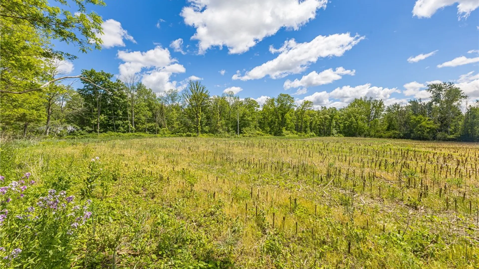 Property at 17156 Ladue Road, Clarendon, NY 14470 37
