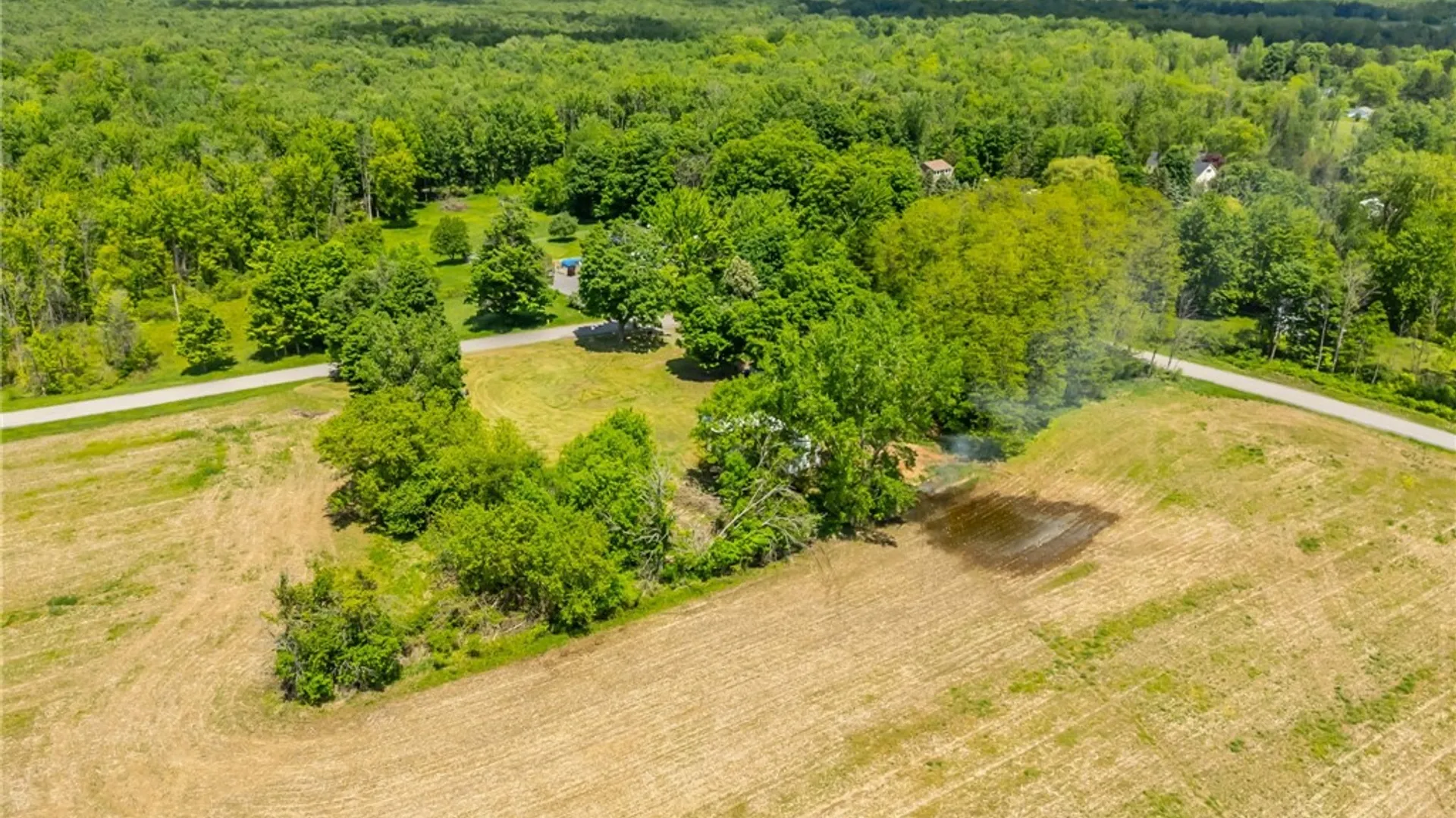 Property at 17156 Ladue Road, Clarendon, NY 14470 41