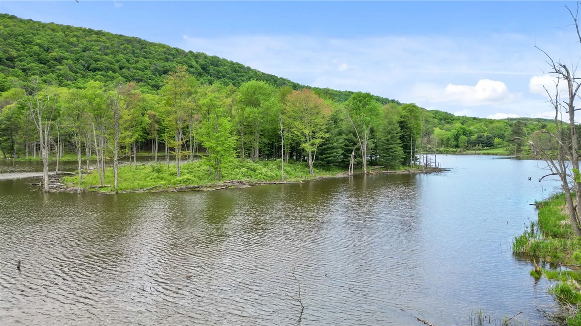 Property at 2462 Spencer Road, Danby, NY 14883 7