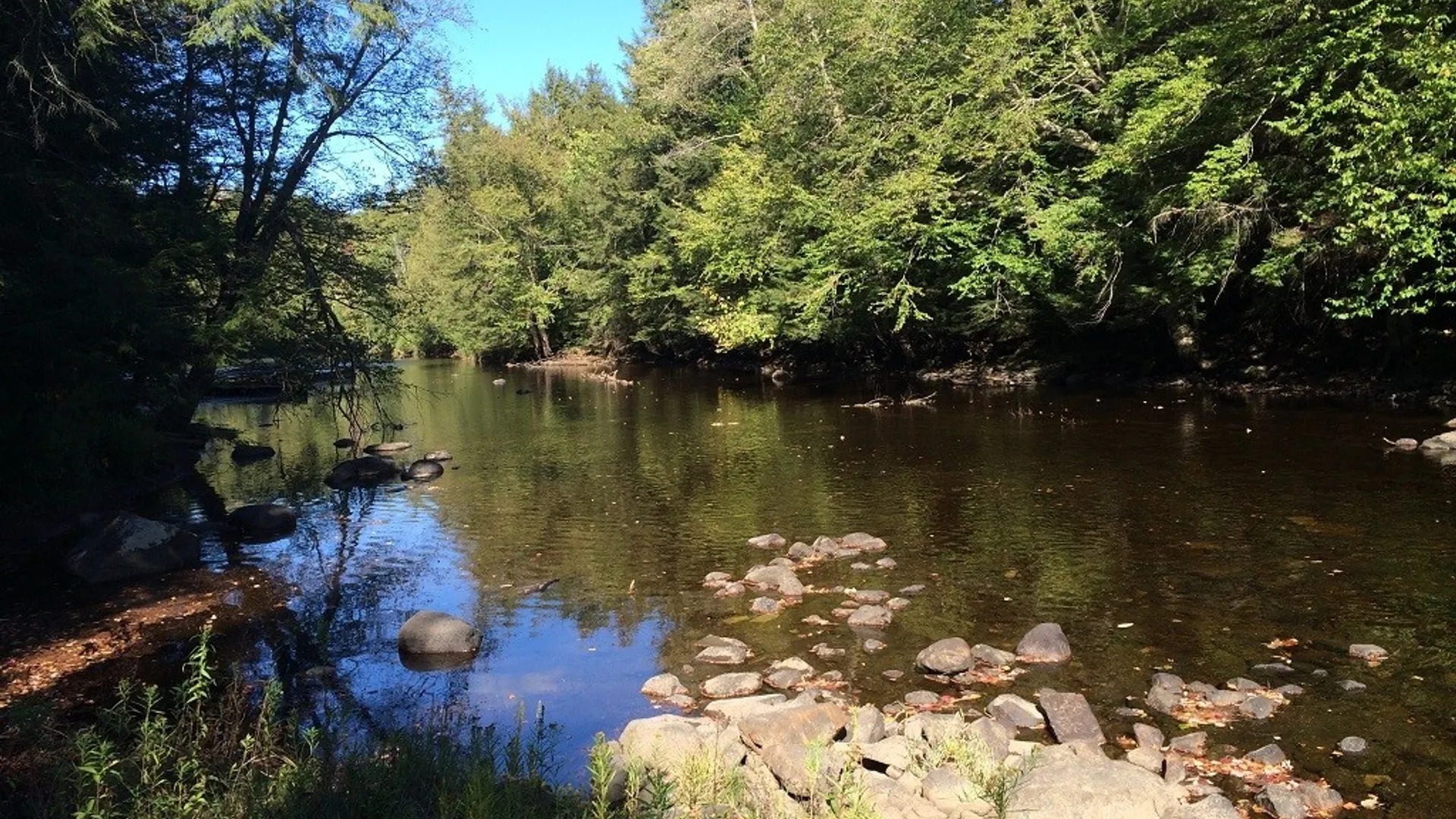 Property at Rt-29, Salisbury, NY 13365 2