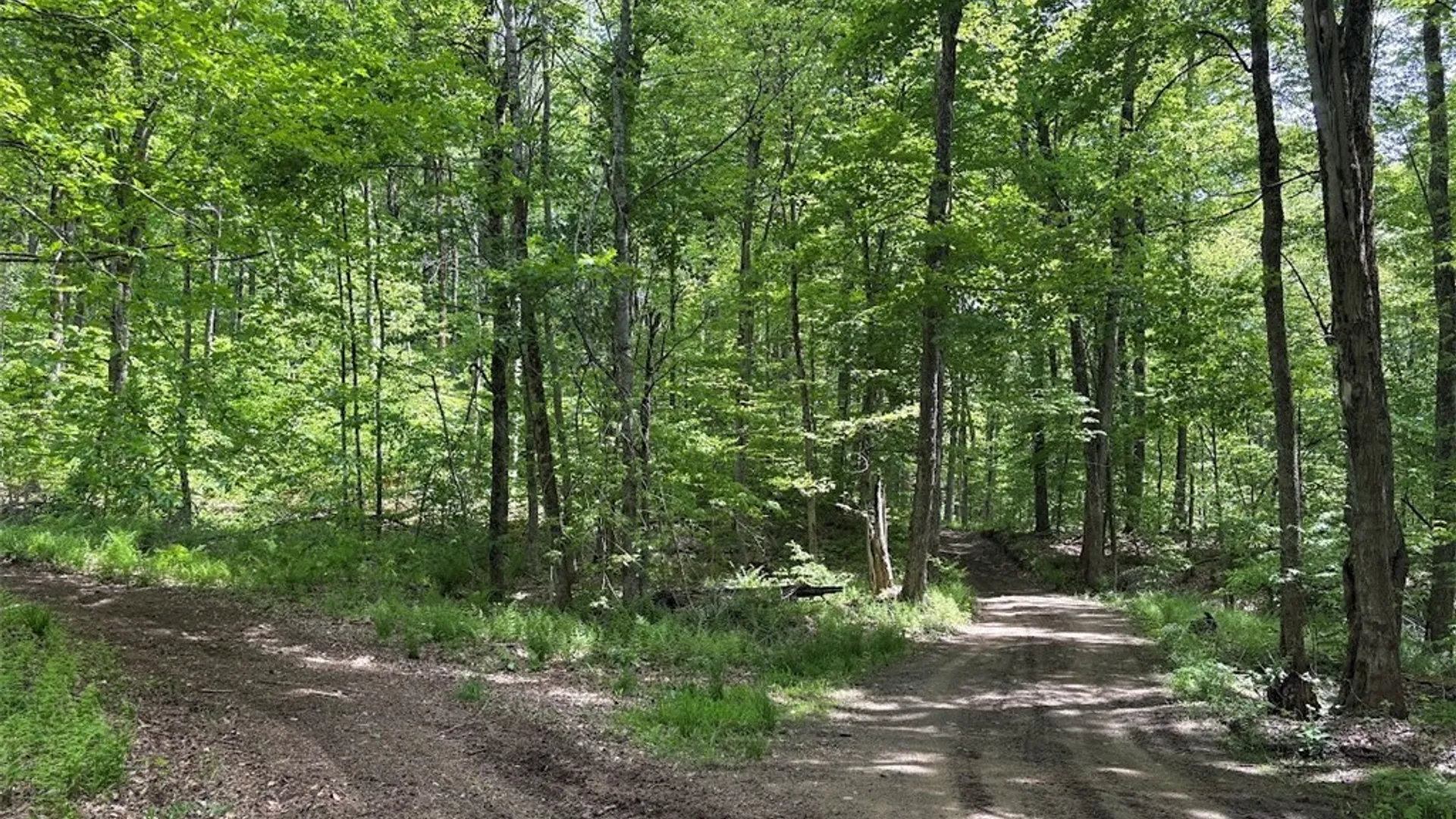 Property at Rt-29, Salisbury, NY 13365 4