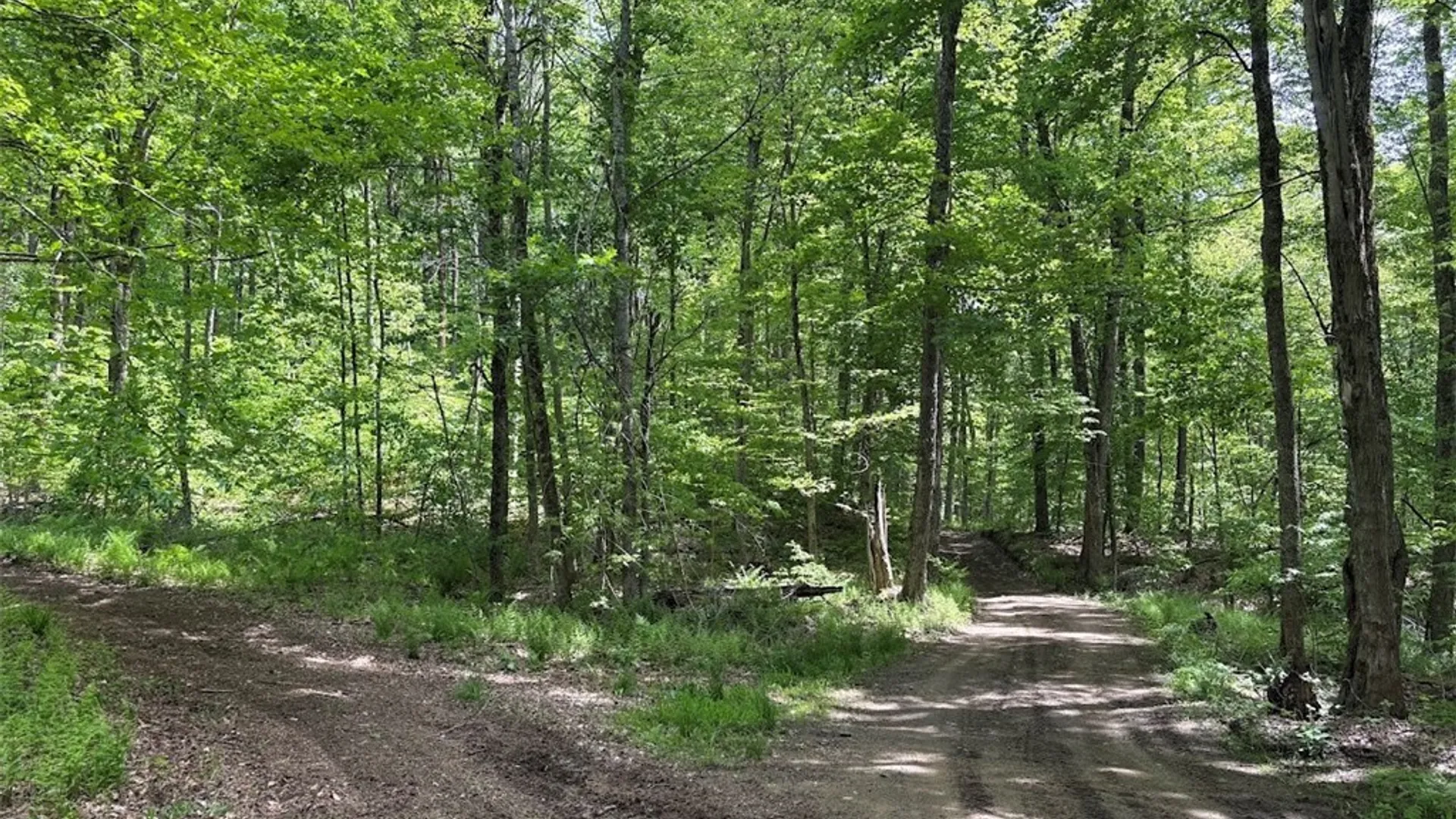 Property at Rt-29, Salisbury, NY 13365 5