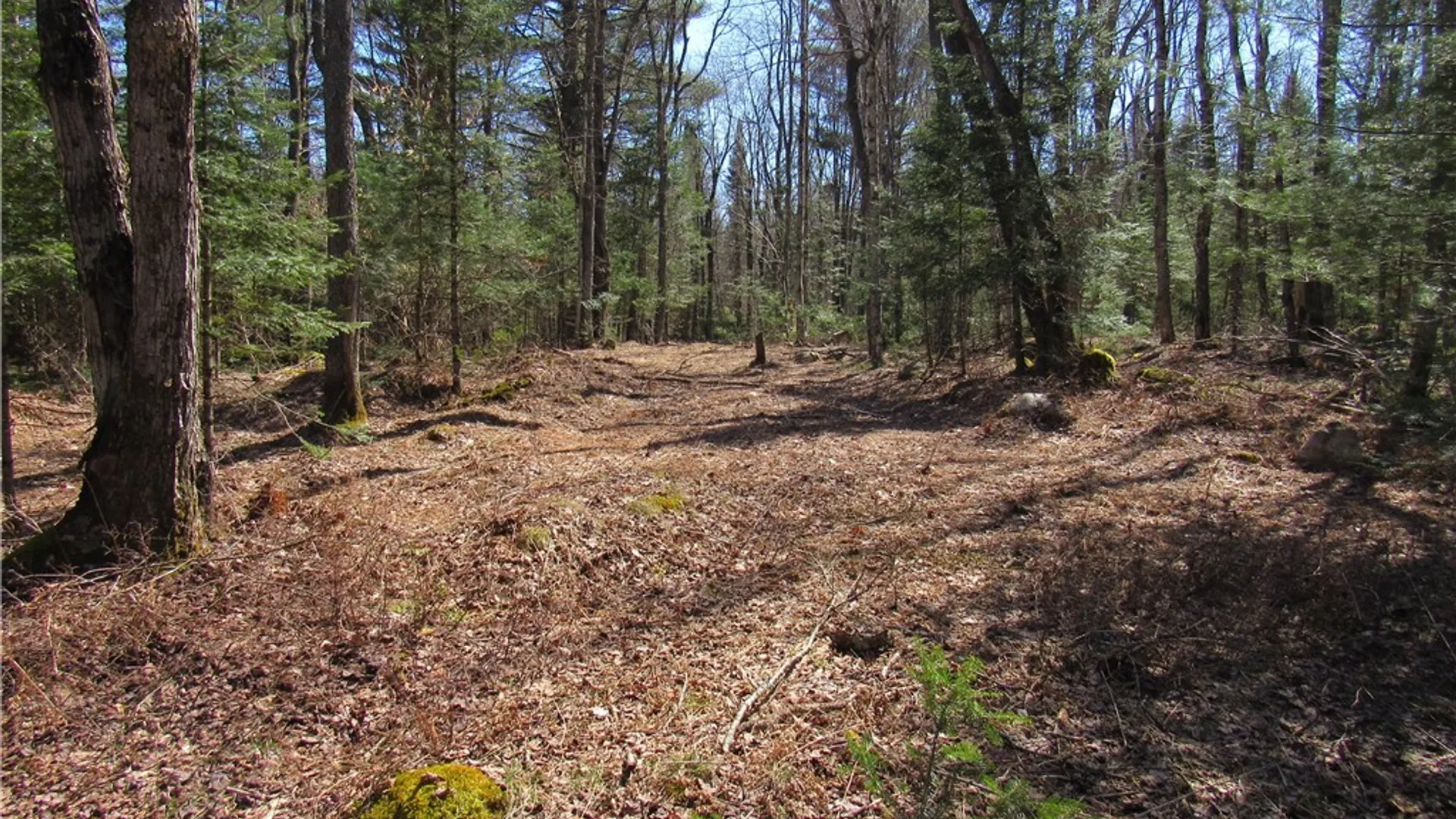 Property at 1018 South Road, Forestport, NY 13338 10