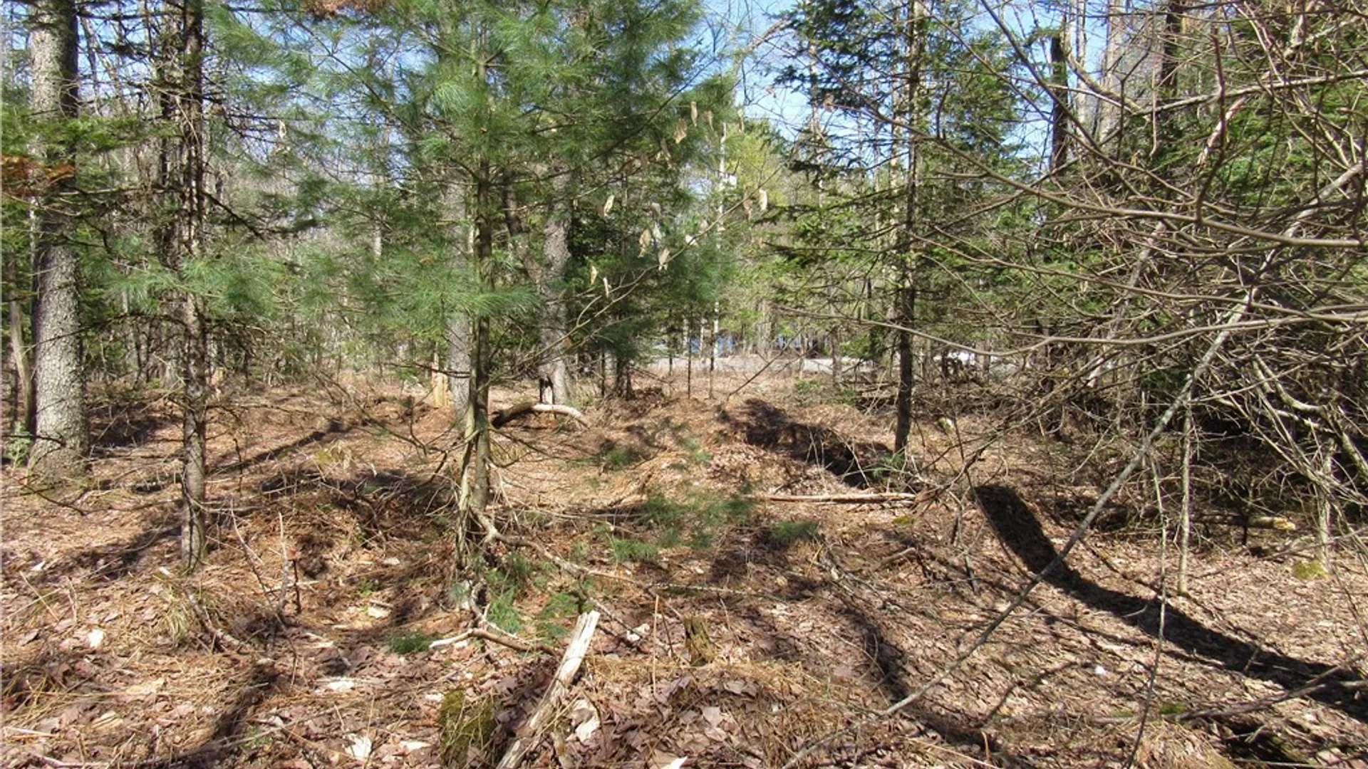 Property at 1018 South Road, Forestport, NY 13338 11