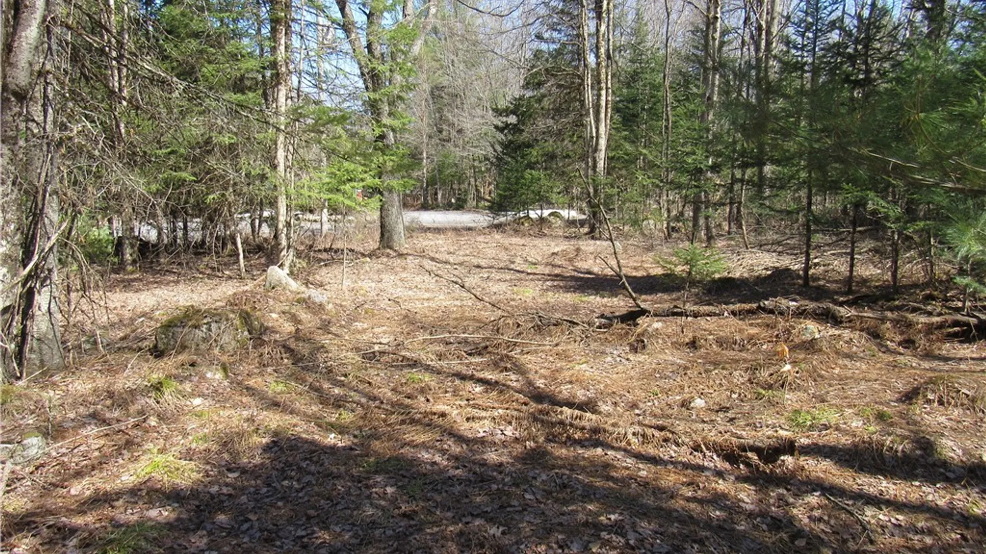 Property at 1018 South Road, Forestport, NY 13338 12