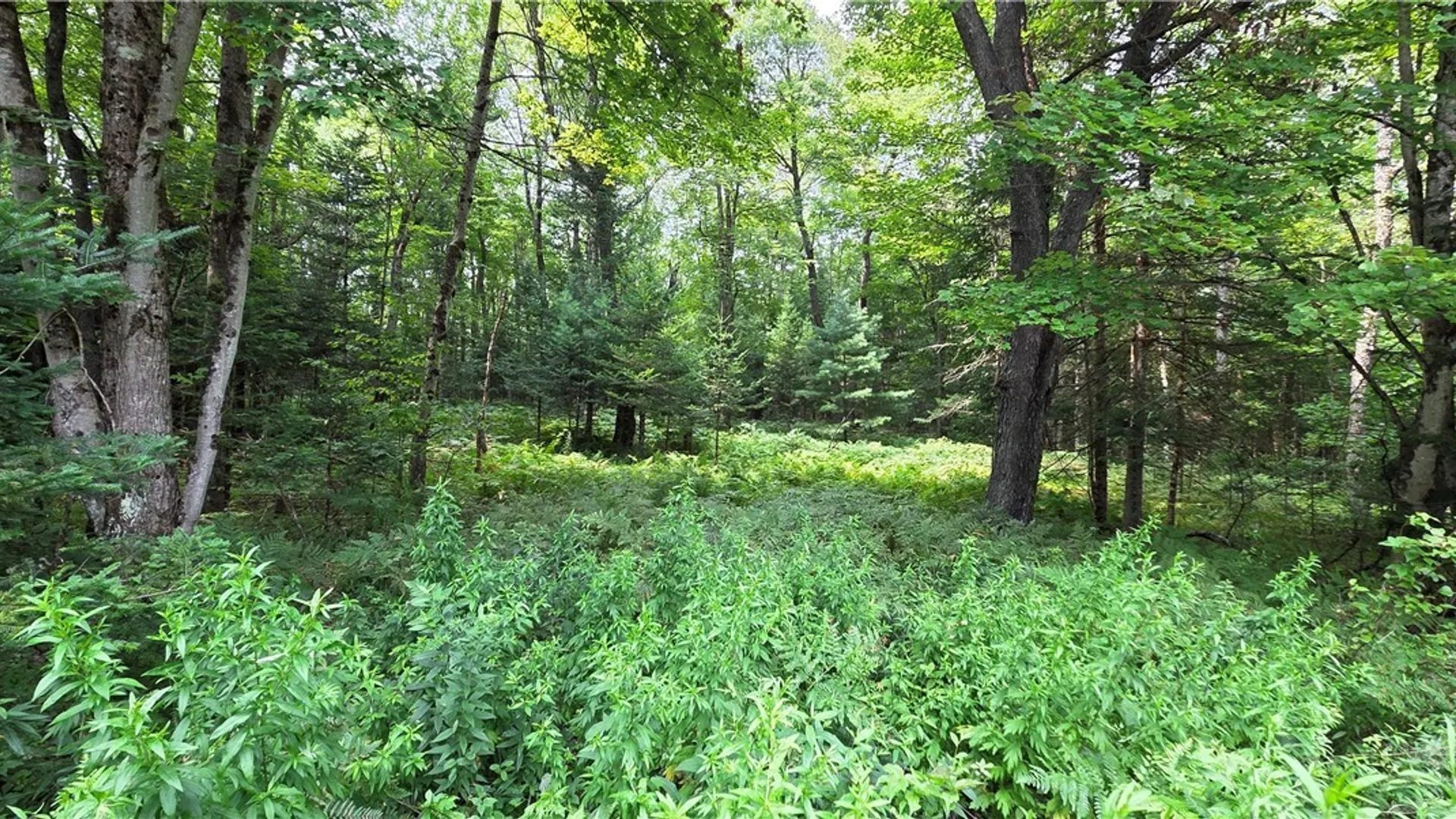 Property at 1018 South Road, Forestport, NY 13338 2