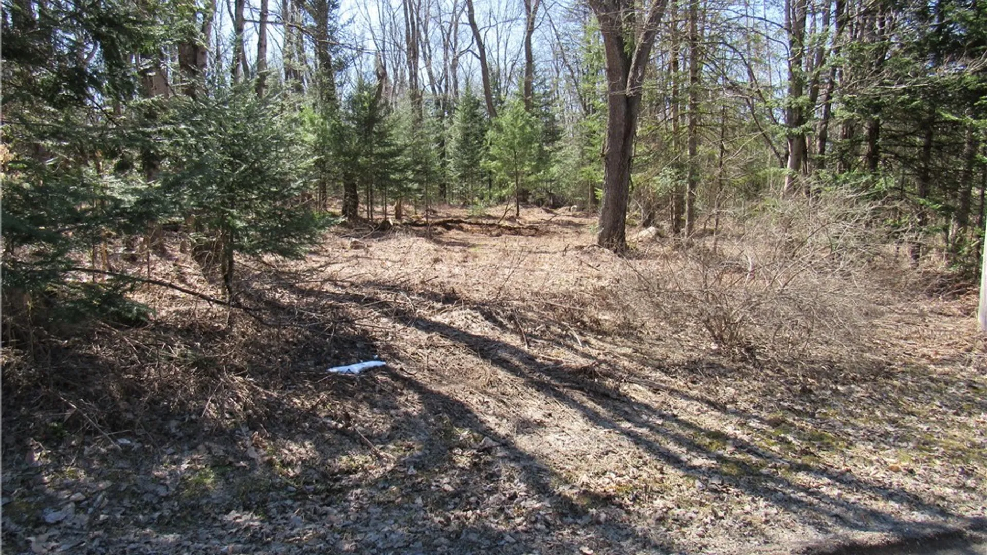 Property at 1018 South Road, Forestport, NY 13338 6
